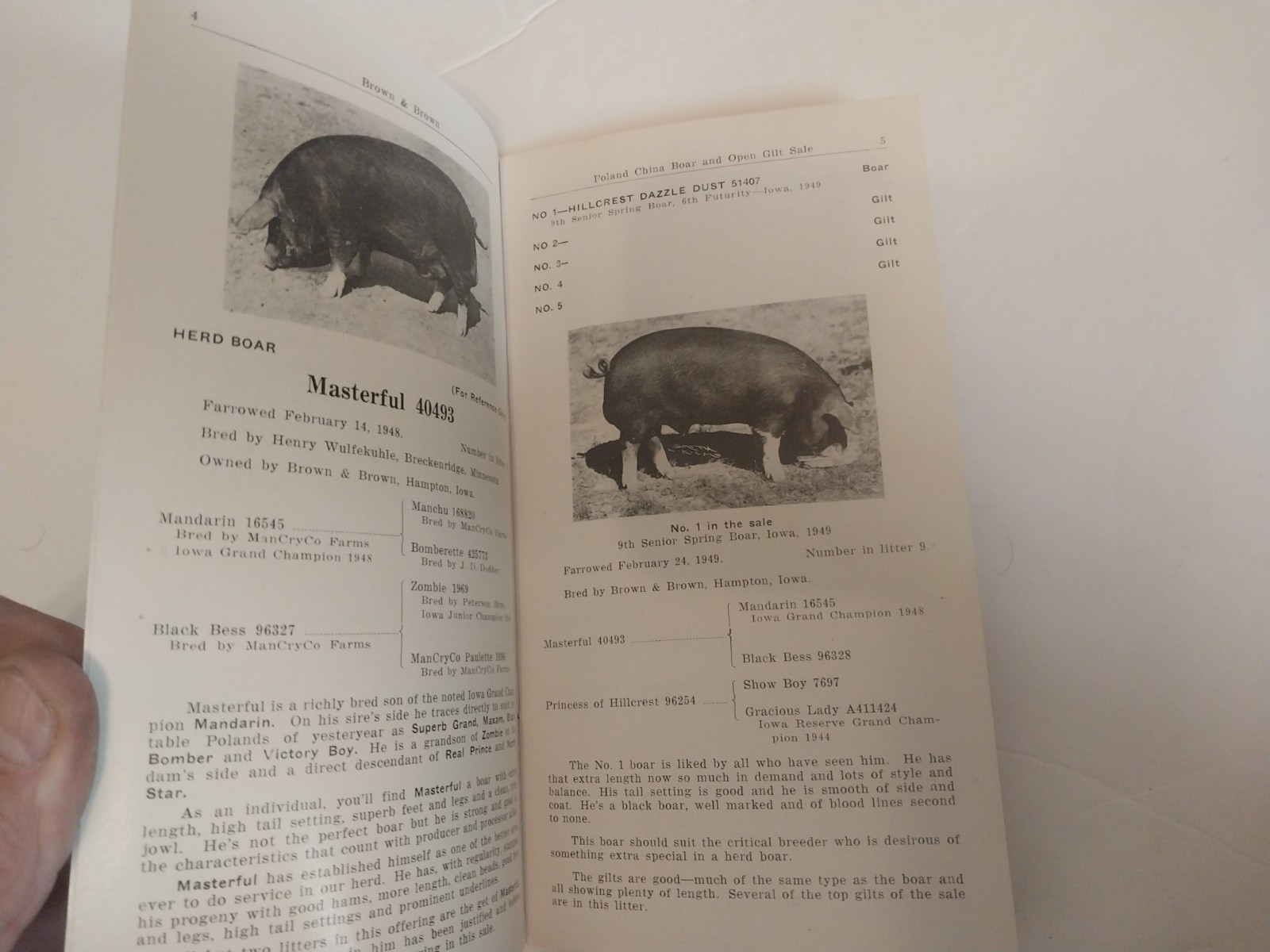 Brown & Brown – Poland China boar & gilt sale brochure 10/12/1949 Hampton, Iowa