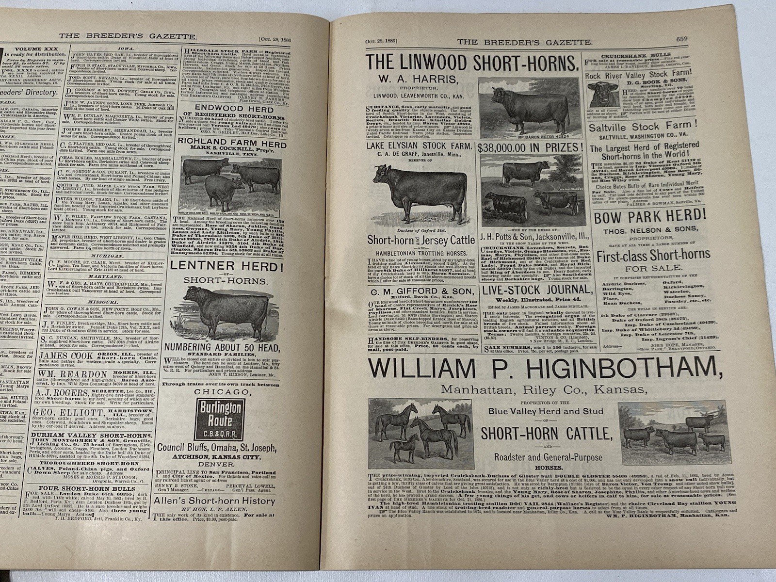 Vtg 1886 October Breeders Gazette Shire Horse Steer Pigs Cow Bull Advertisements
