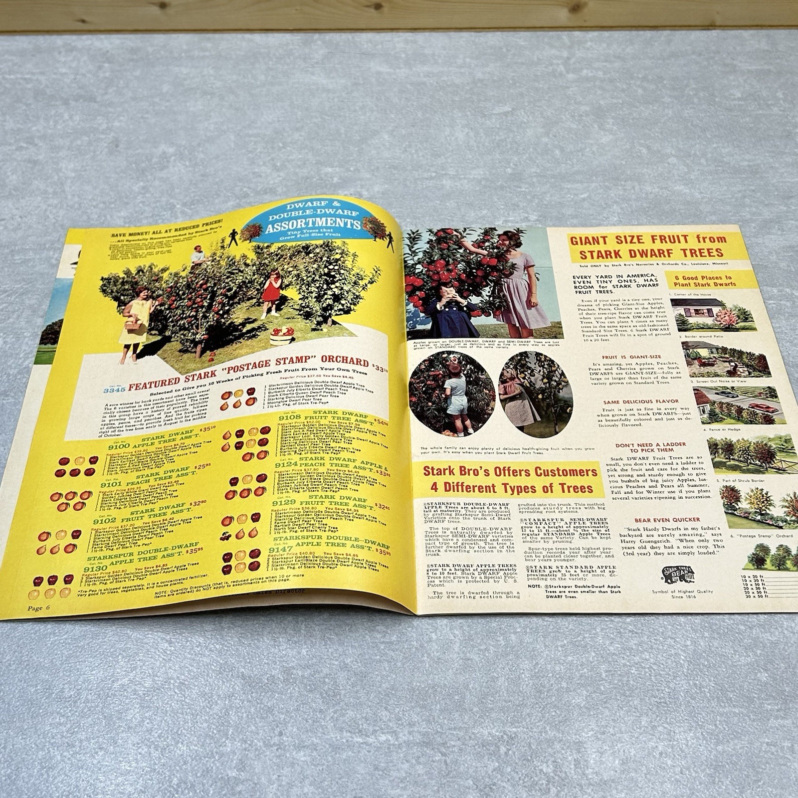 Vintage 1960s Stark Bros Nurseries & Orchards Dwarf Fruit Trees Catalog