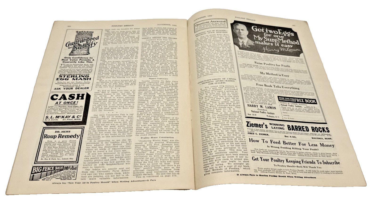 1924 Poultry Herald Magazine St Paul MN Farm Chickens Rooster Ads Vintage