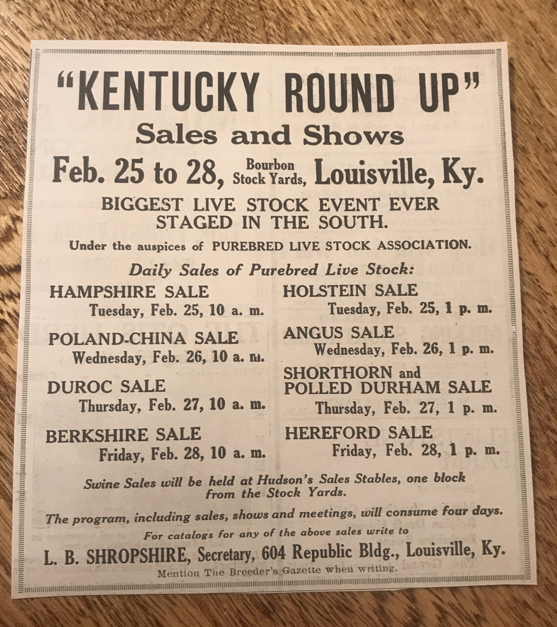 1919 Pig & Cattle Public Sale – Louisville – Kentucky – Cow Advertising
