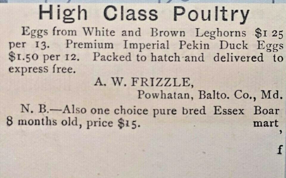 Powhatan Maryland Vtg Print Ad A.W. Frizzle Chicken Breeder Poultry Farming 1881