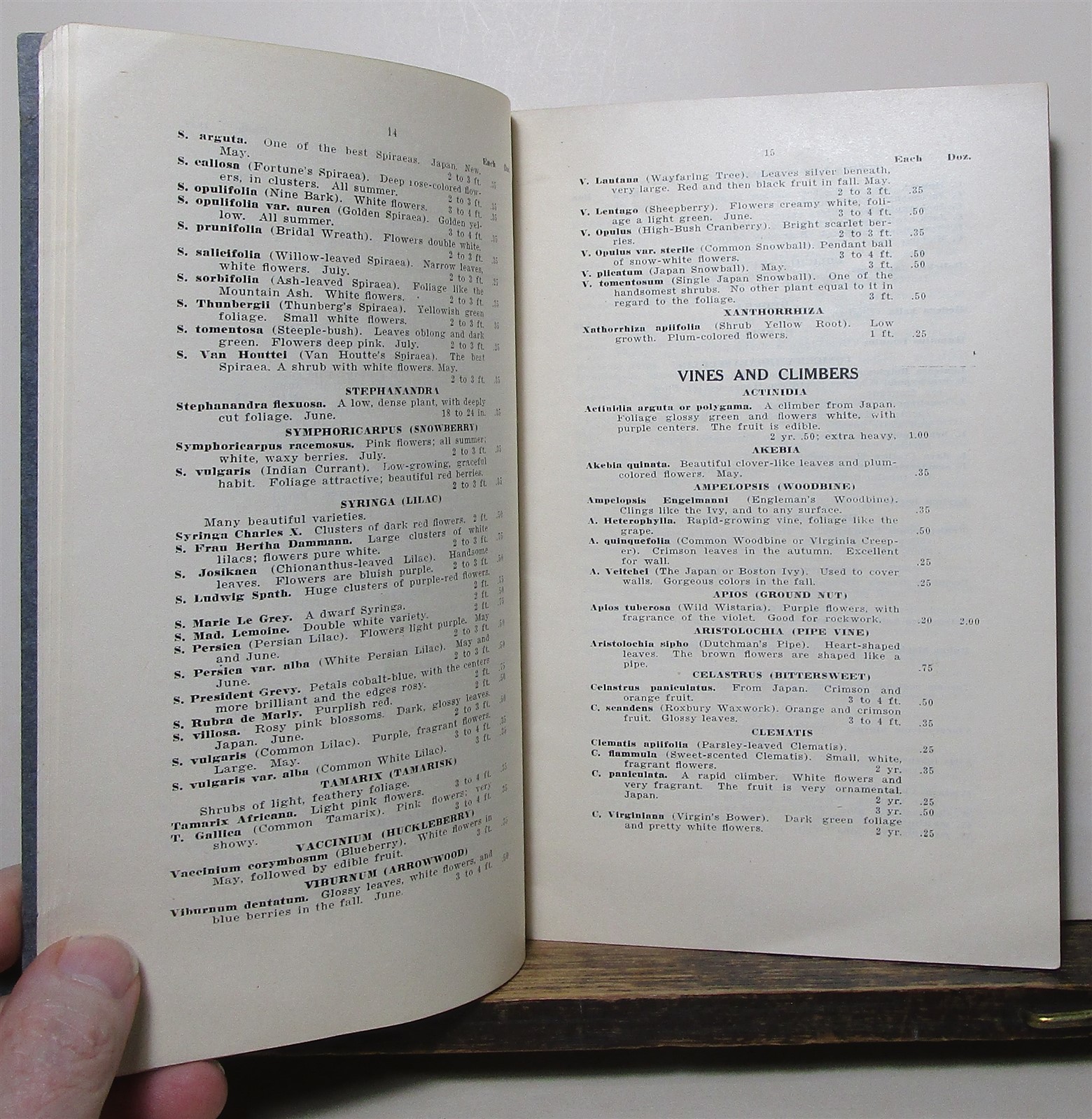 Henry Minot Pratt Concord Nurseries catalog, Massachusetts