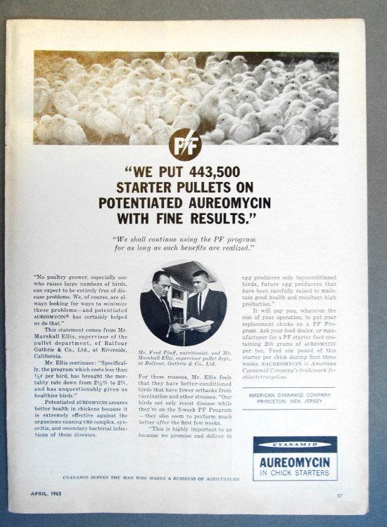 Original 1963 Feed Ad Photo Endorsed Marshall Ellis, Riverside California