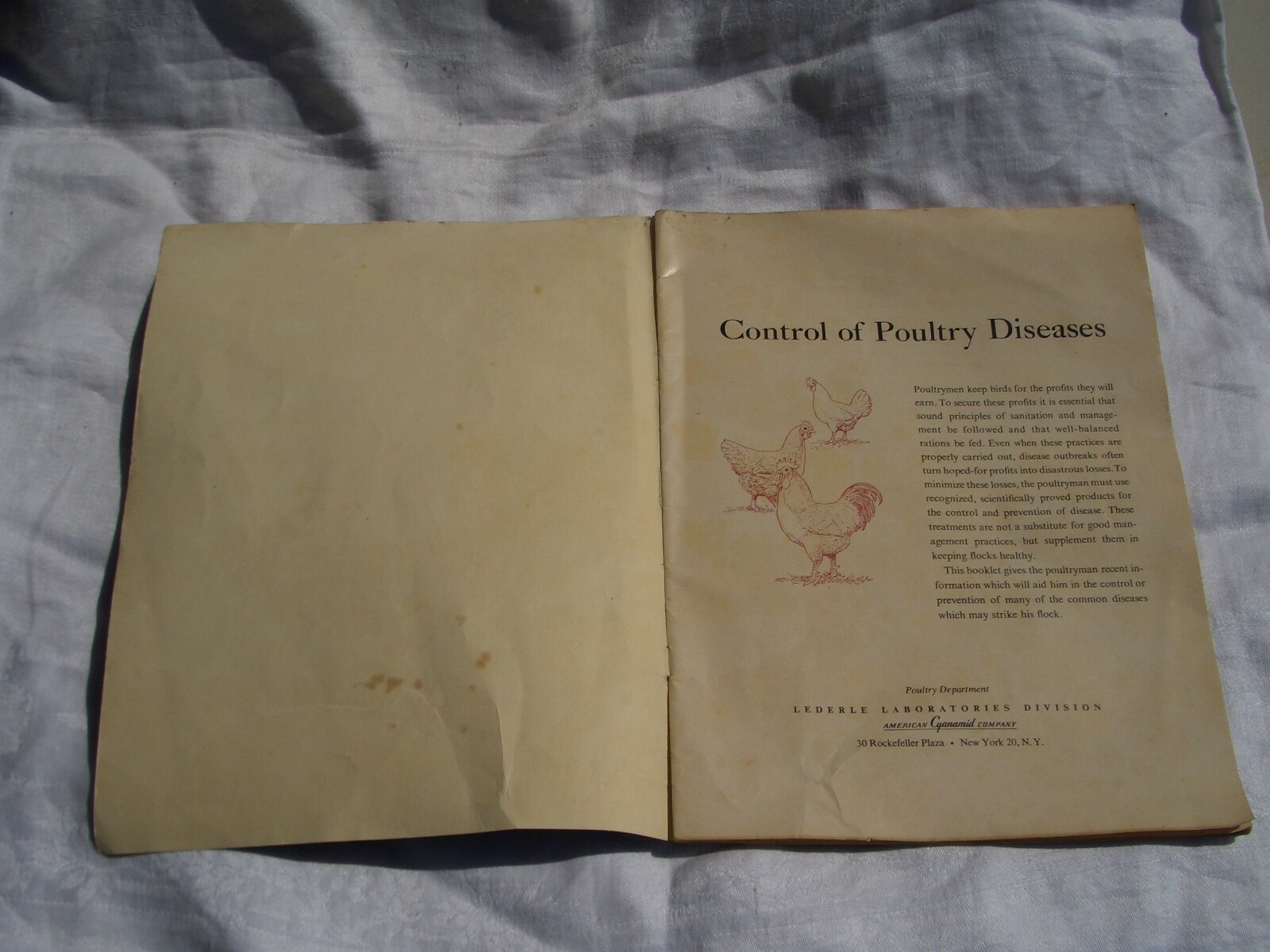 1951 Control of Poultry Diseases *Lederle Lab Chicken Treatment *Ships Free 2 US