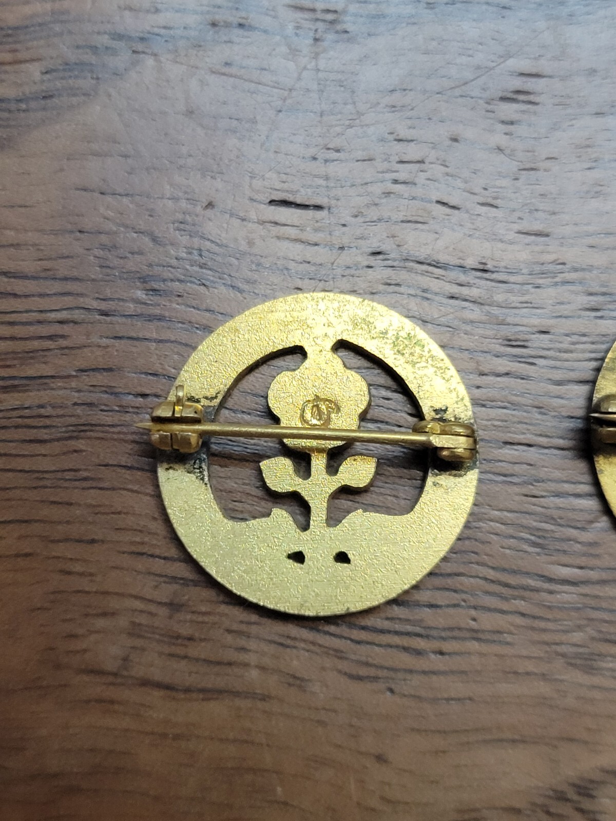 Vintage Society Of Farm Women – Pennsylvania Red Flowers Floral Pins x2