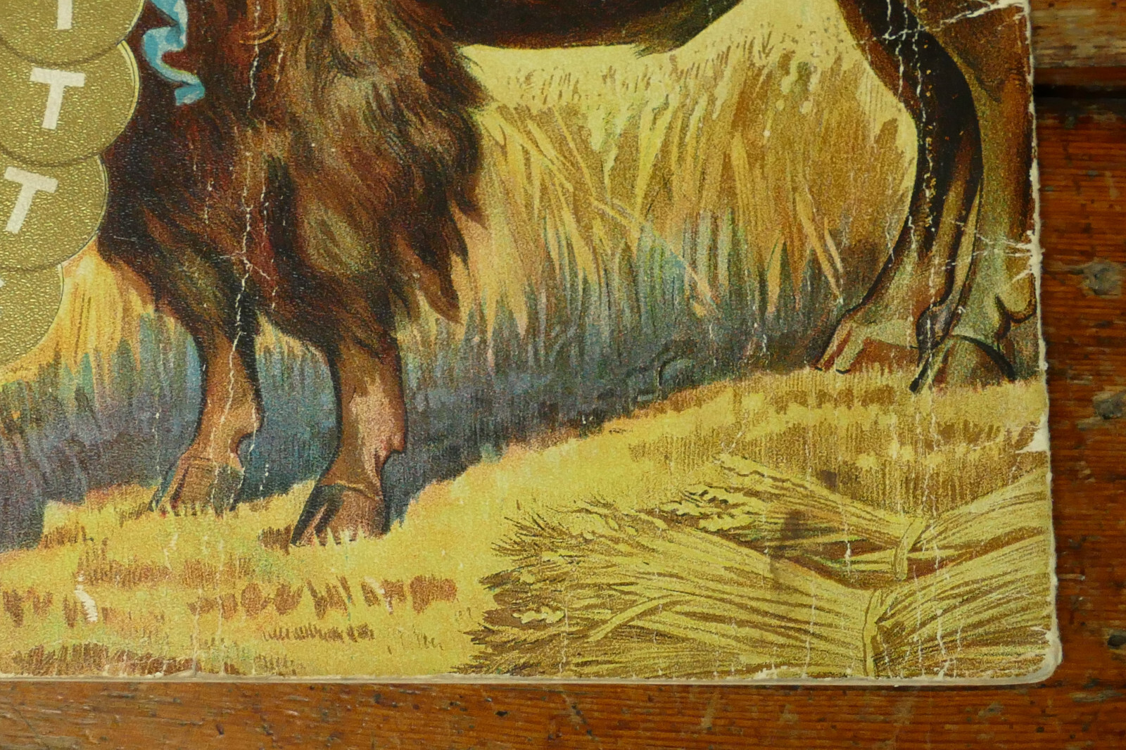 Antique 1904 Buffalo Pitts Farm Implement Catalog Threshers Buffalo NY
