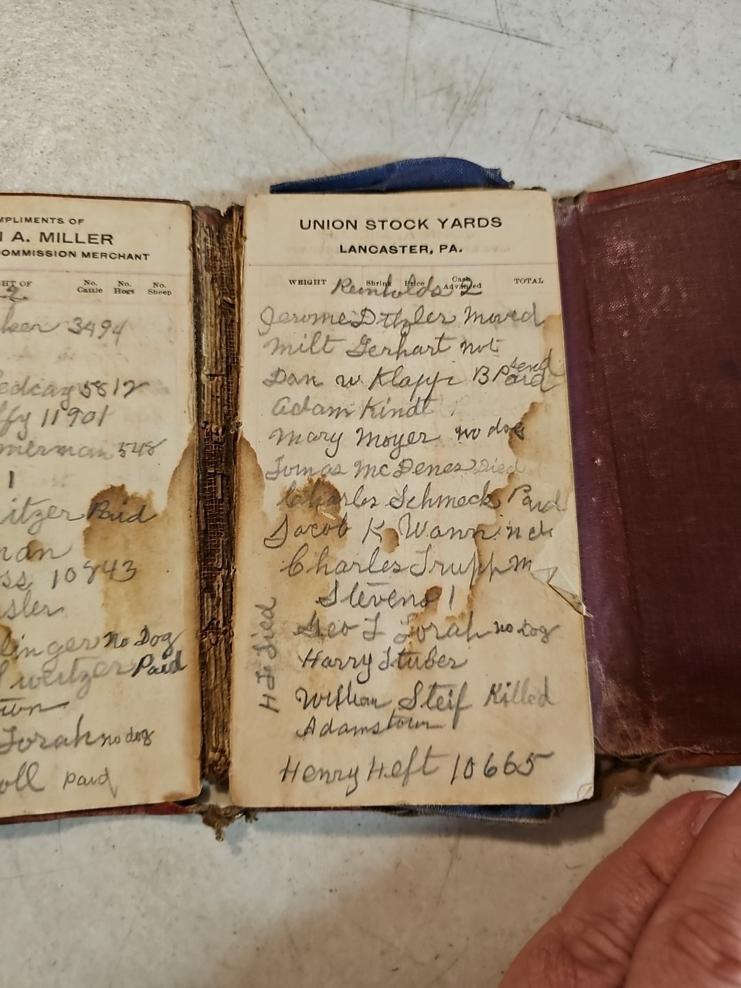 Vintage 1919-20 John A Miller Union Stock Yards Lancaster, PA Notepad