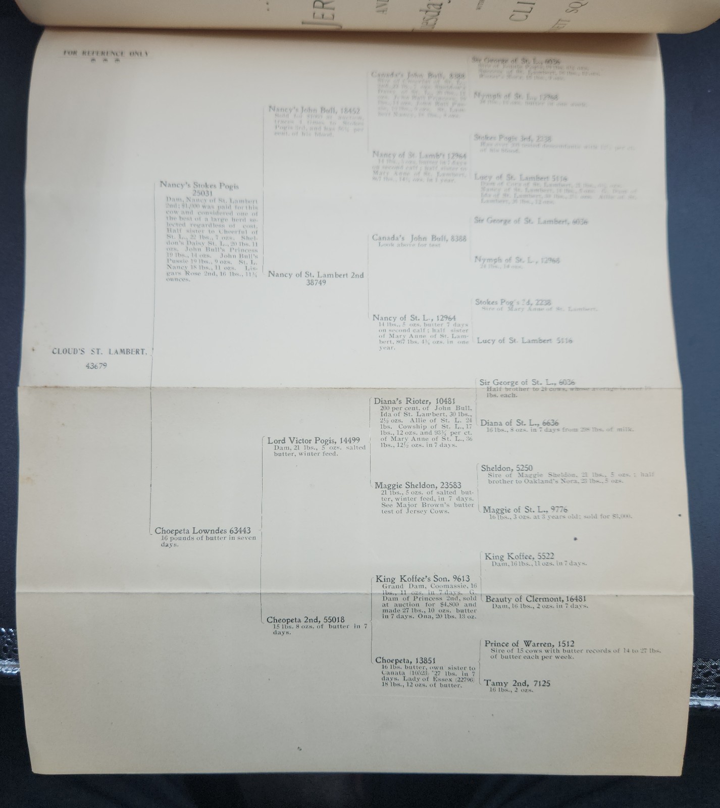Clifton Farms Auction Catalogue Jersey Cattle & Chester Pigs Chester PA c.1900