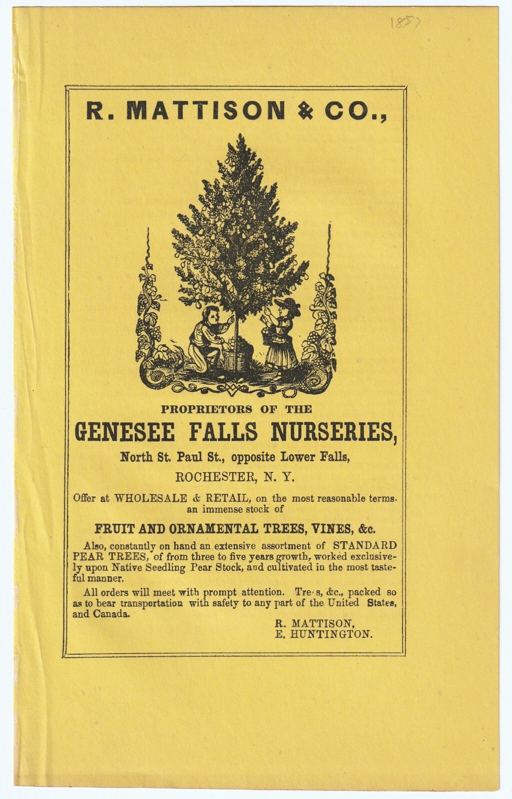 RARE Advertising Leaflet Ad- Mattison 1857- Genesee Falls Nurseries Rochester NY