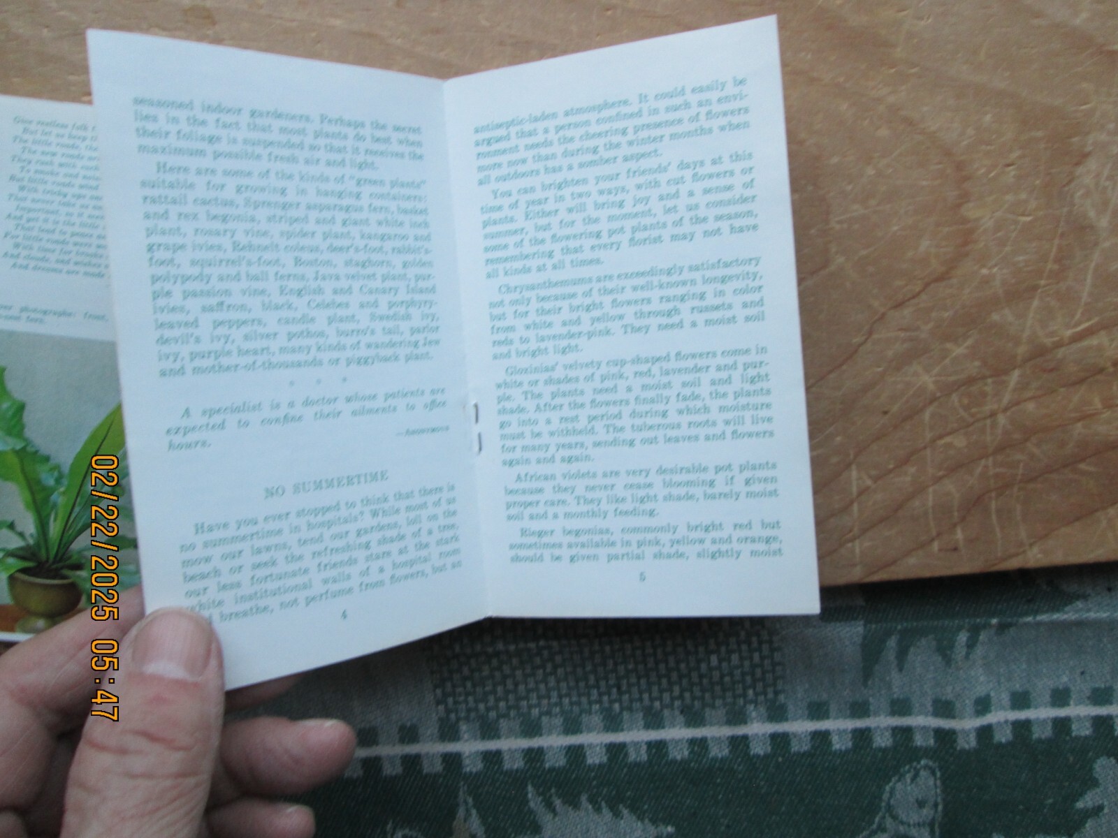 boyntons greenhouses skowhegan maine 2 Flower talks 1975 brochure