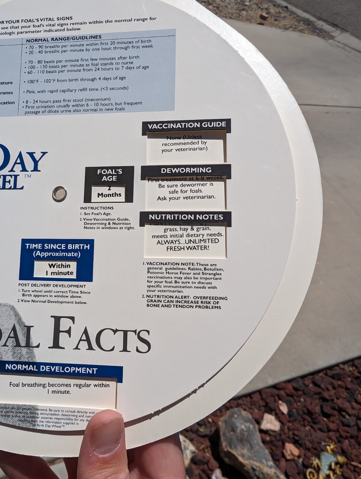 Vintage 1999 Horse Fact Spinner Double Sided The Birth Day Wheel DVM marketing