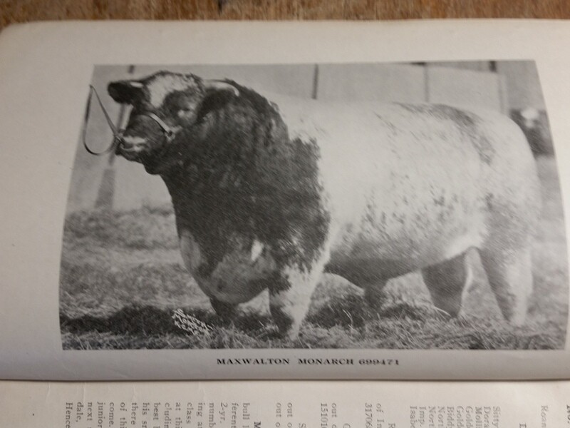 c1923 Maxwalton Herd Carpenter and Ross Cattle Auction Mansfield Ohio OH
