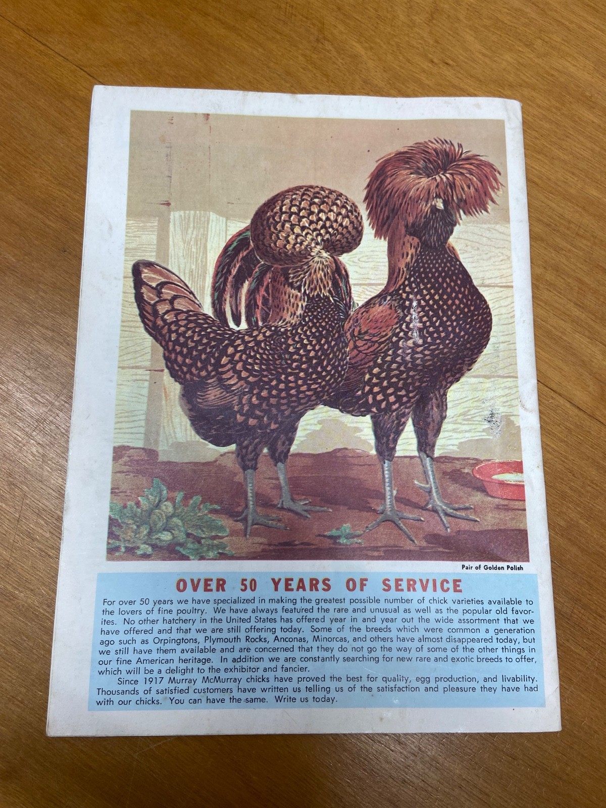 Murray McMurray Hatchery Catalog 1970&rsquo;s