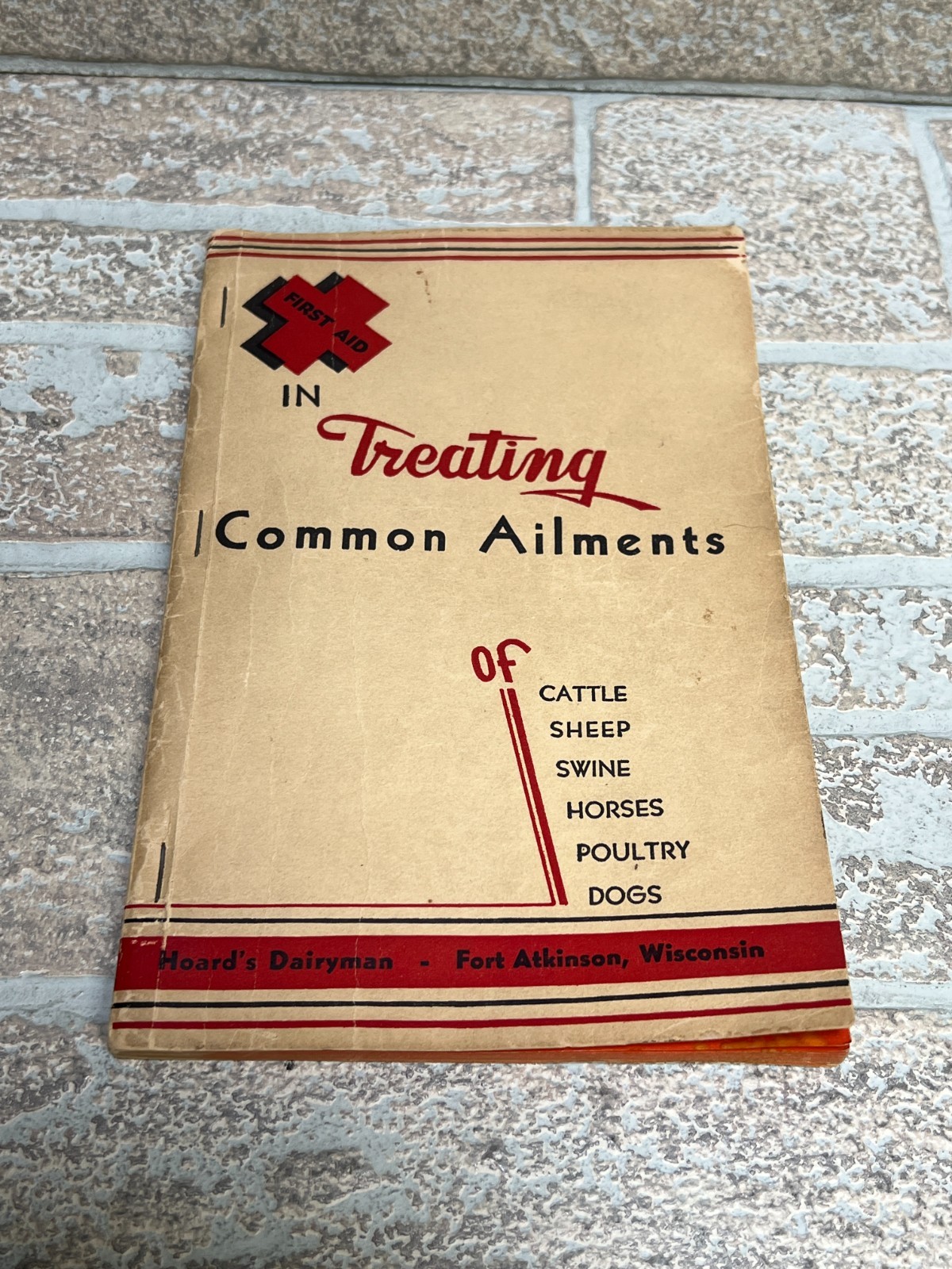 Vintage 1938 First Aid in Treating Common Ailments Animals by Hoard&rsquo;s Dairyman