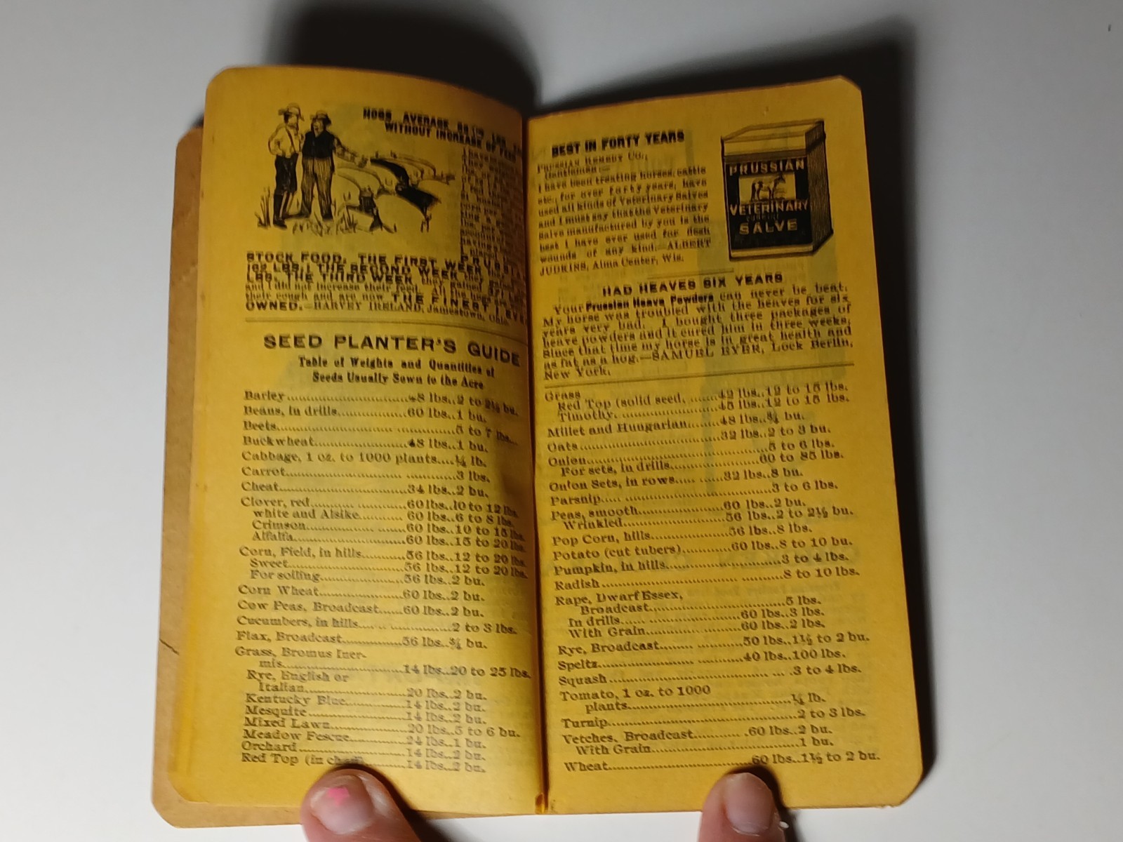1906 Vintage Farm Ledger Prussian Food Advertising Cow Pig Sheep Horse Graphic