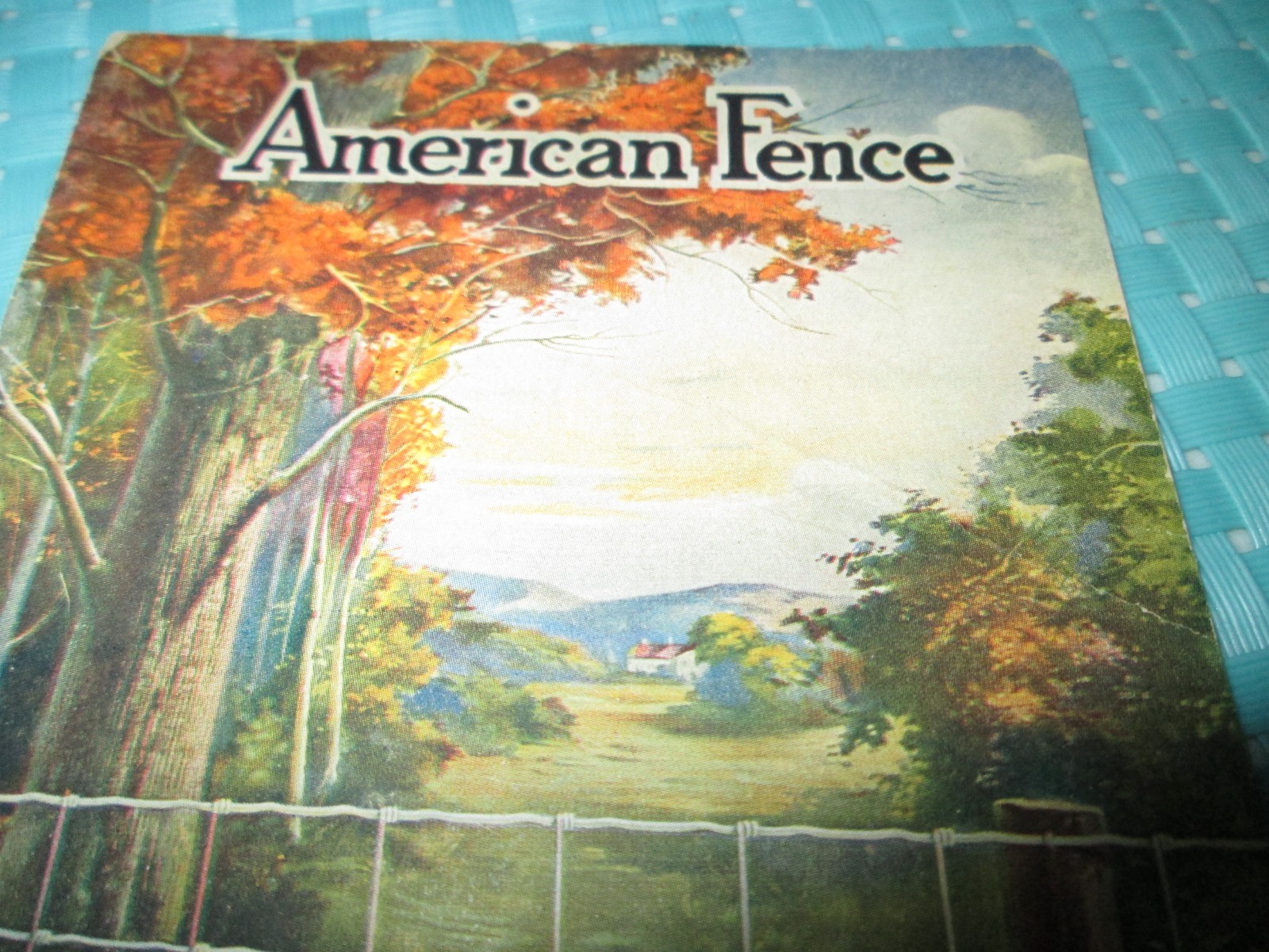 1911 Advertising Postcard AMERICAN FENCE Roadside Scene American Steel & Wire