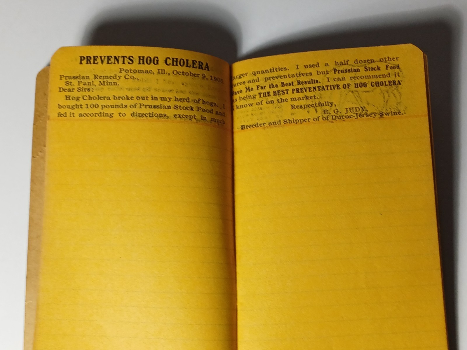 1906 Vintage Farm Ledger Prussian Food Advertising Cow Pig Sheep Horse Graphic