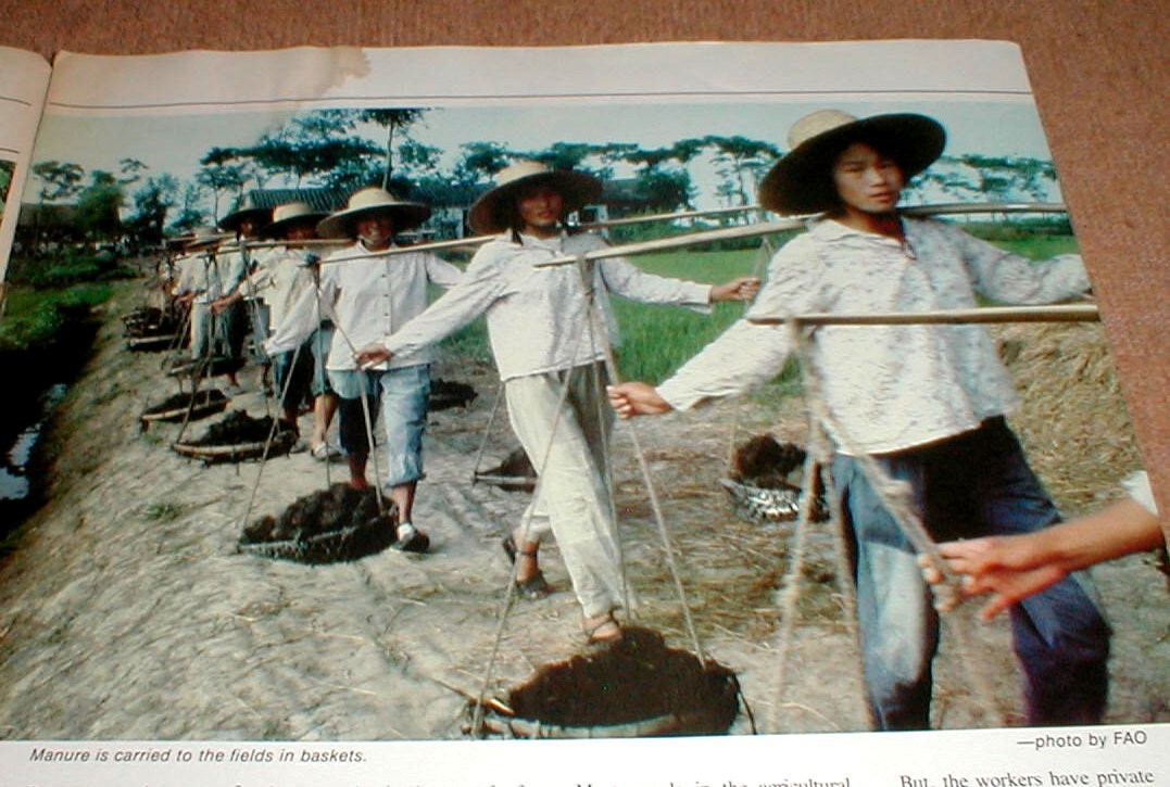 Sperry New Holland News Full Color 1981 Magazine Vol 28 No 5