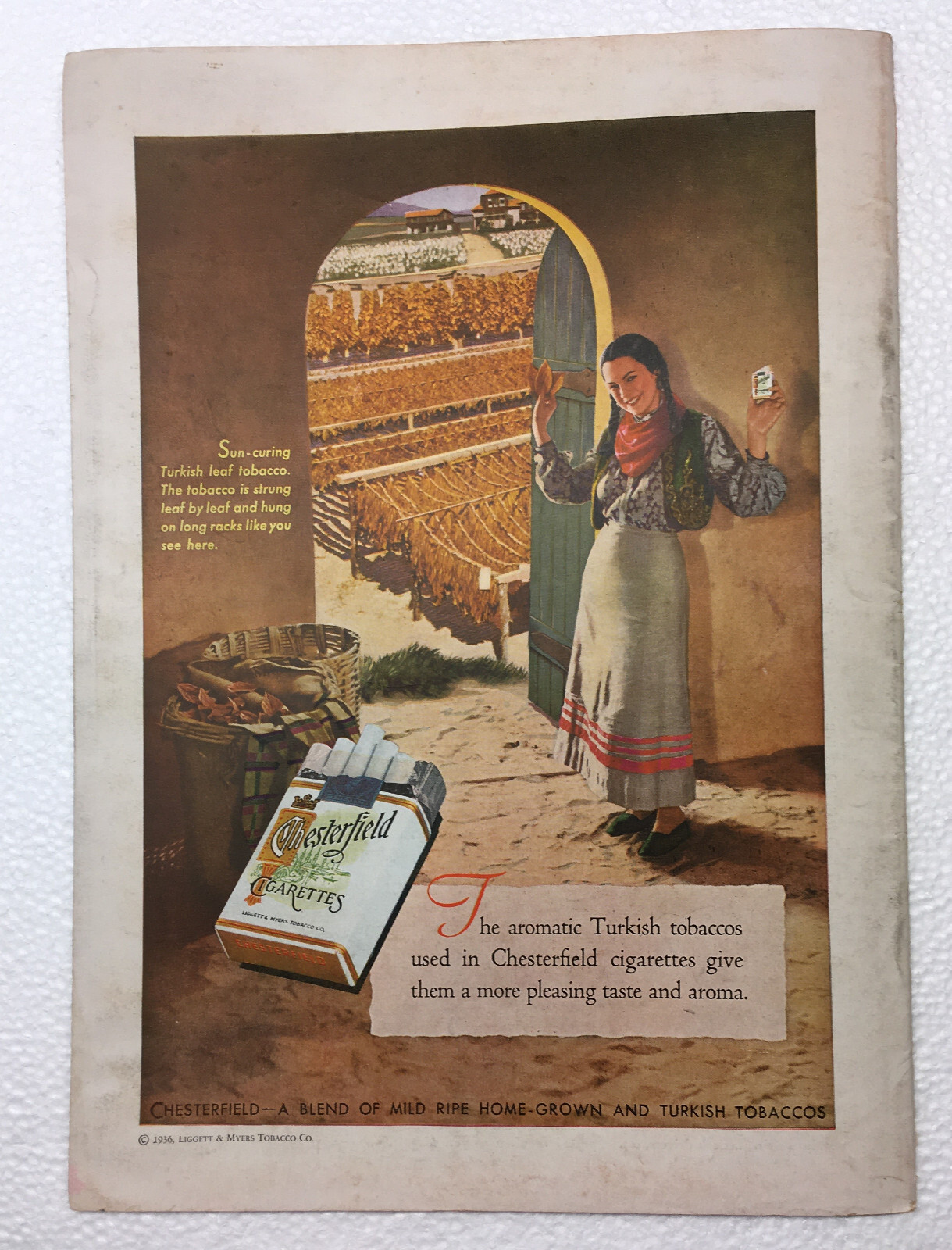 THE LITERARY DIGEST MAGAZINE — FEBRUARY 22, 1936