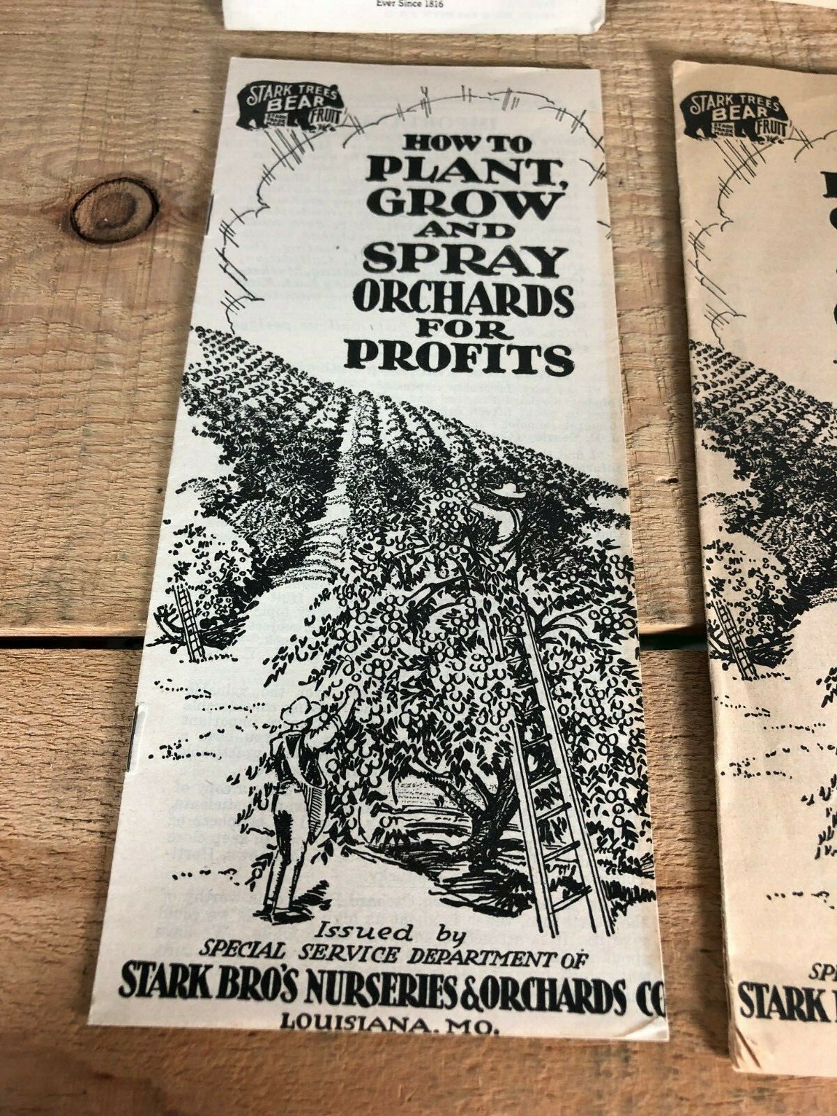 4 Vintage 1930s Stark Bro&rsquo;s Nurseries Orchard Fruit Trees Brochures Catalogs