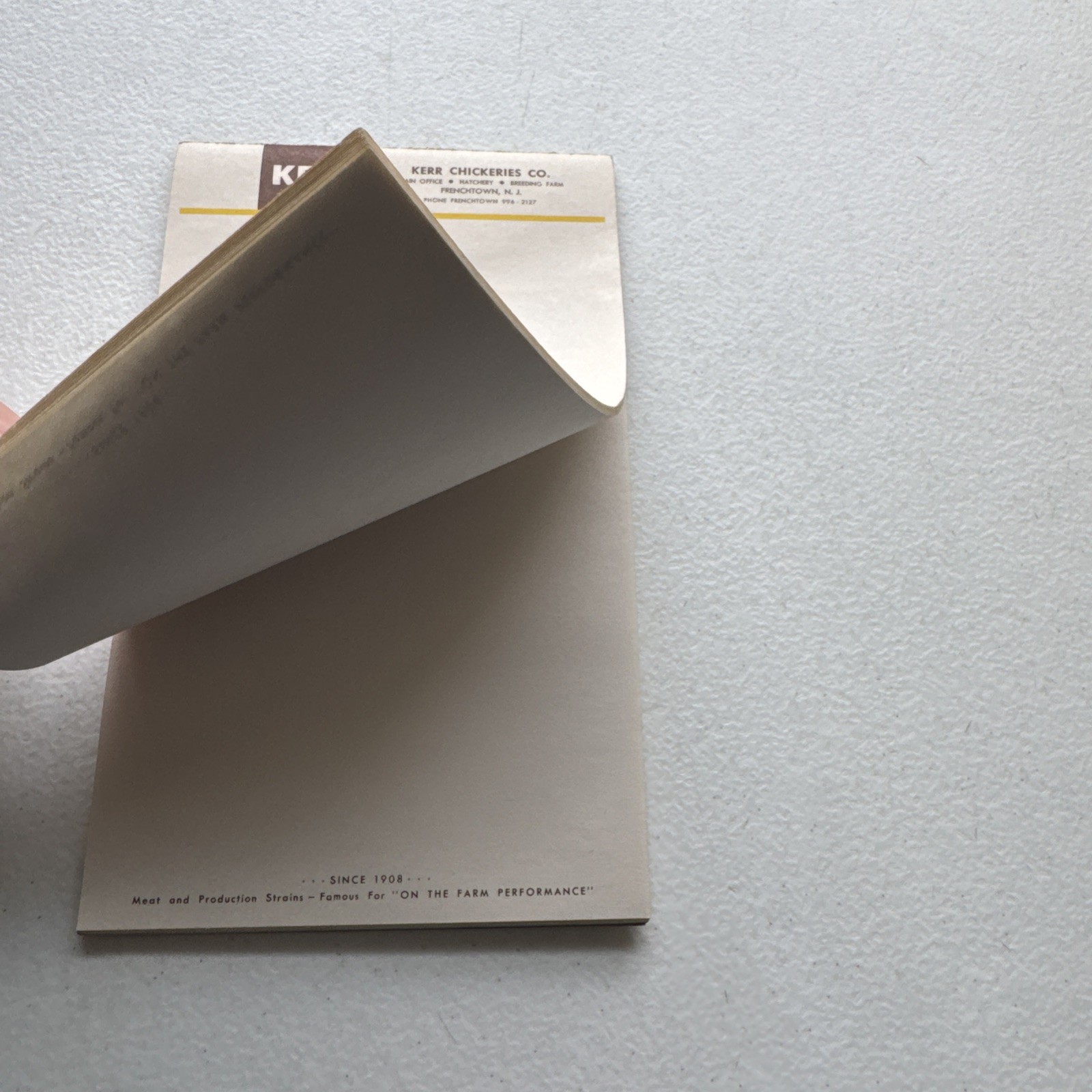 Kerr Chickeries Co. Frenchtown, NJ Vintage Notepad Paper Tablet
