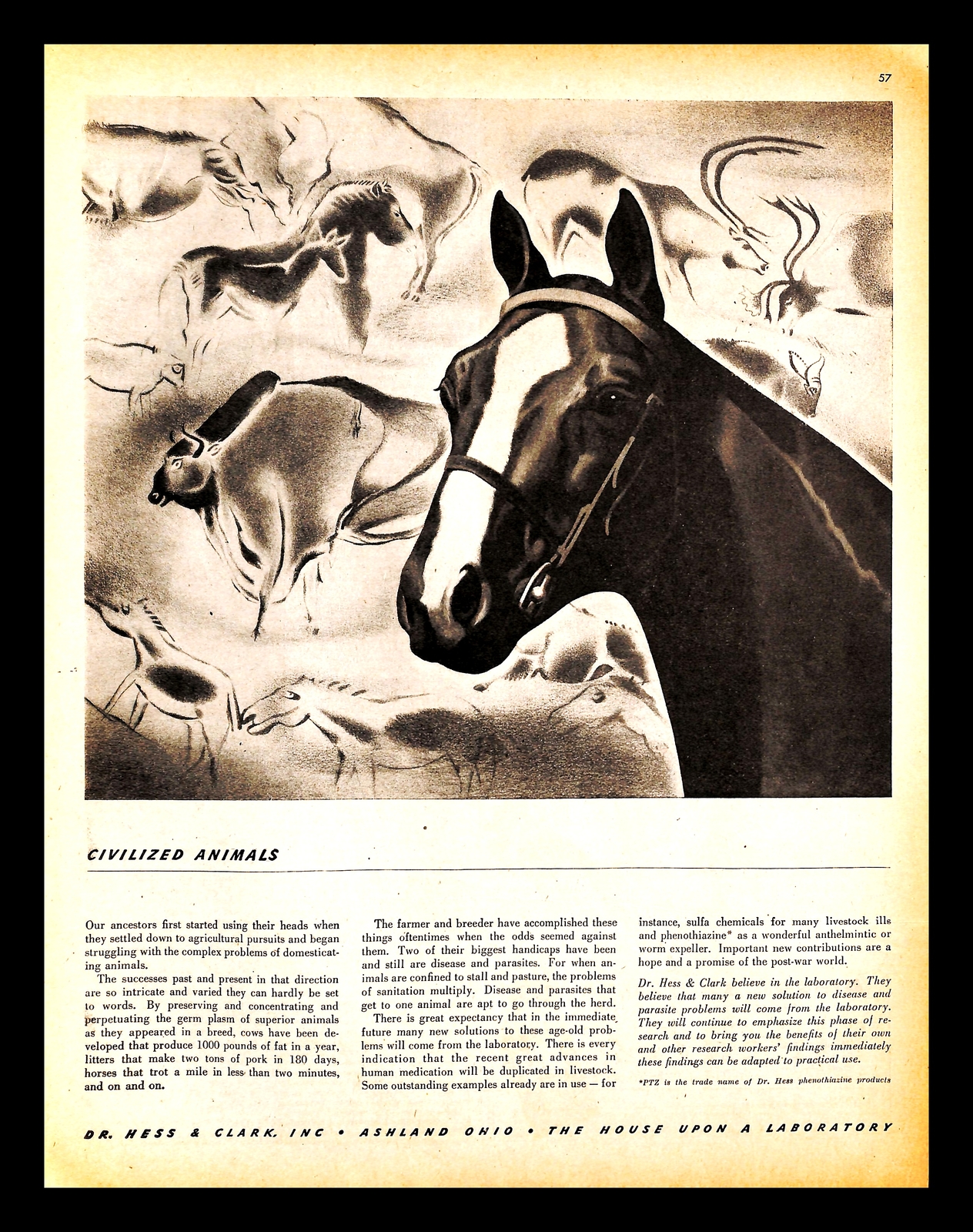 1944 Dr. Hess & Clark Laboratory Vintage PRINT AD Animals Livestock Horse Farm