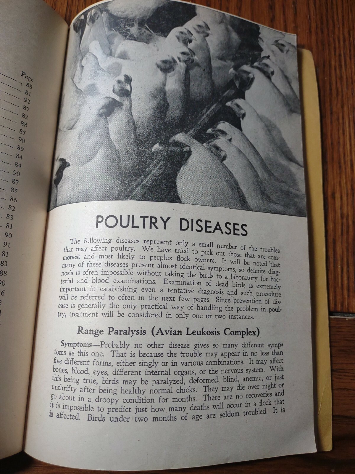 HOARDS DAIRYMAN FORT ATKINSON,WIS. COMMON AILMENTS OF FARM ANIMALS BOOK