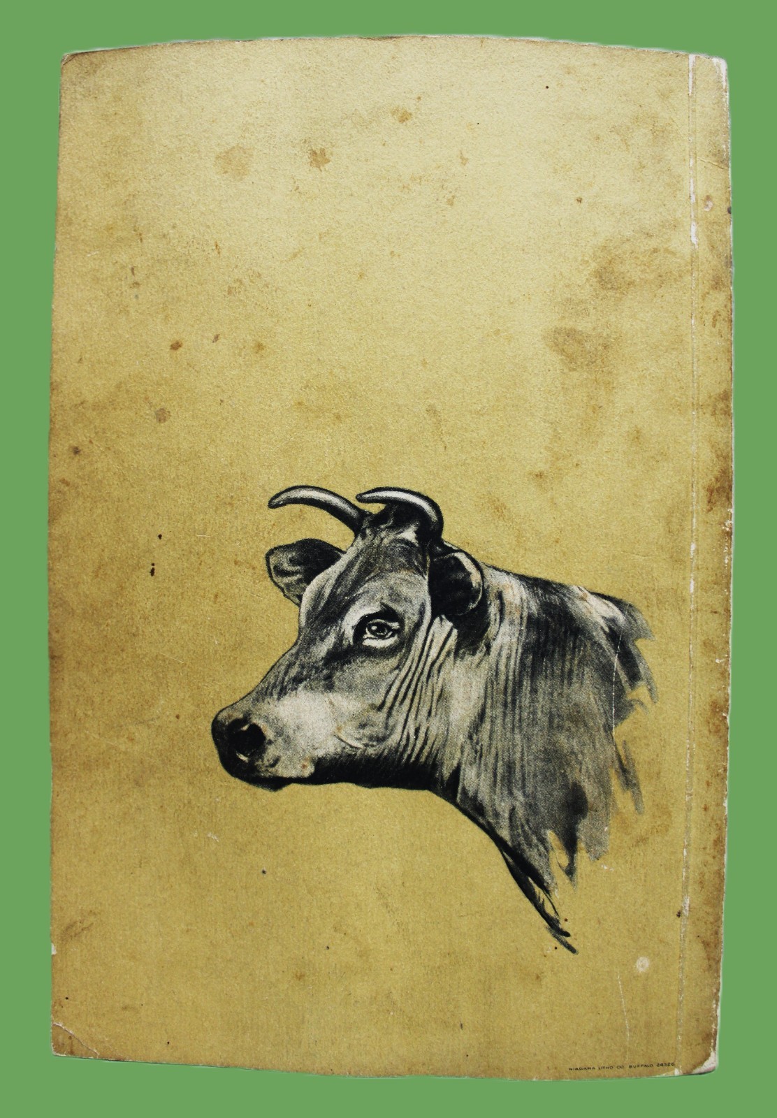 LIVESTOCK IN THE EAST BOOKLET BY THE PARK & POLLARD COMPANY BUFFALO NY 1924