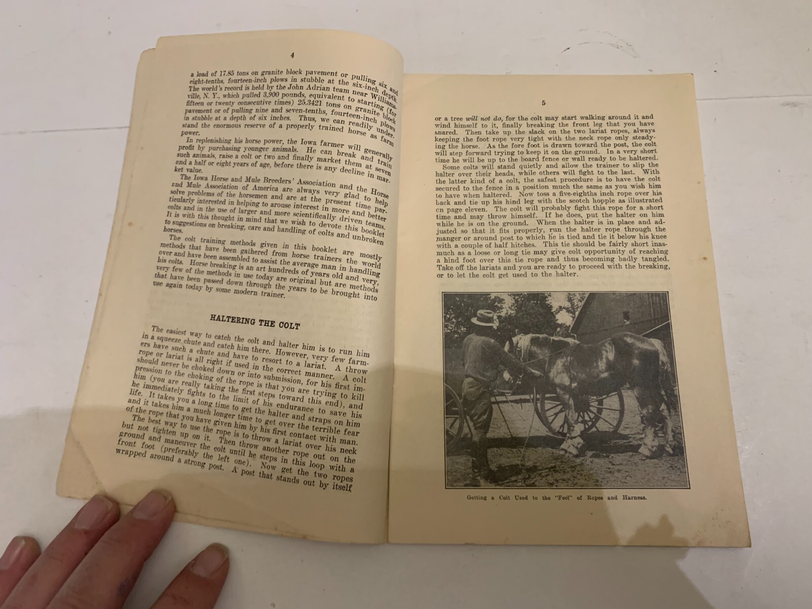 1936 Horse Breeding Harry D. Linn Booklet Iowa Horse & Mule Breeders Association