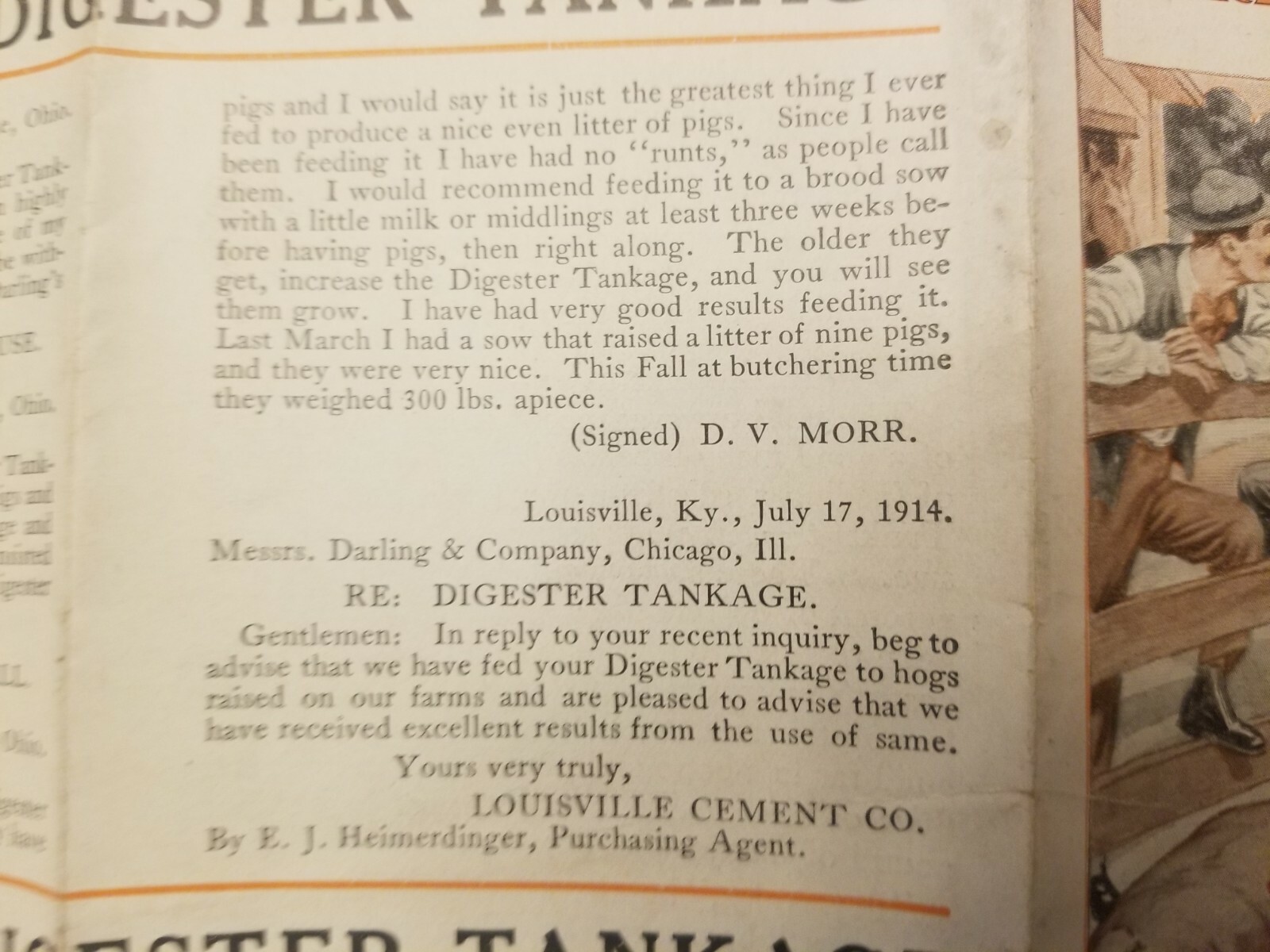 VINTAGE AGRICULTURE BROCHURE. DARLING&rsquo;S DIGESTER TANKAGE.