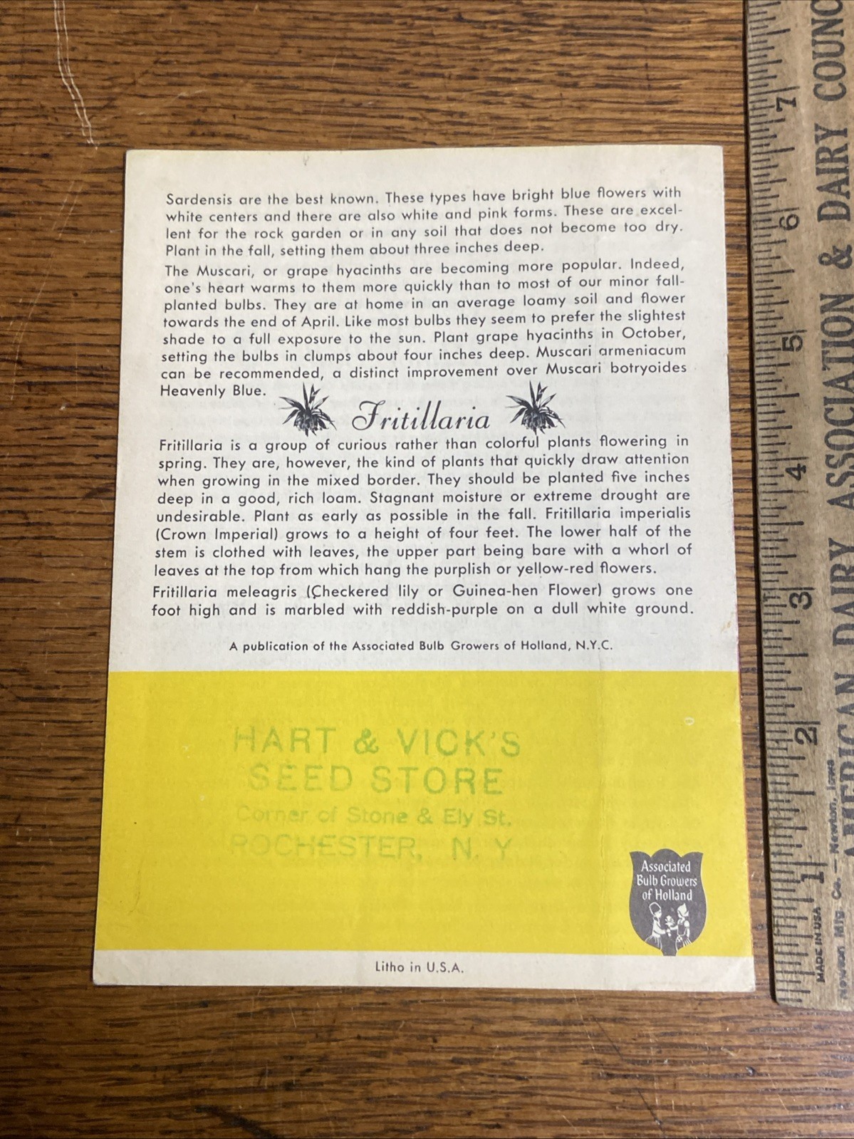 Bulb Planting Guide Associated Bulb Growers of Holland Hart & Vick Rochester NY