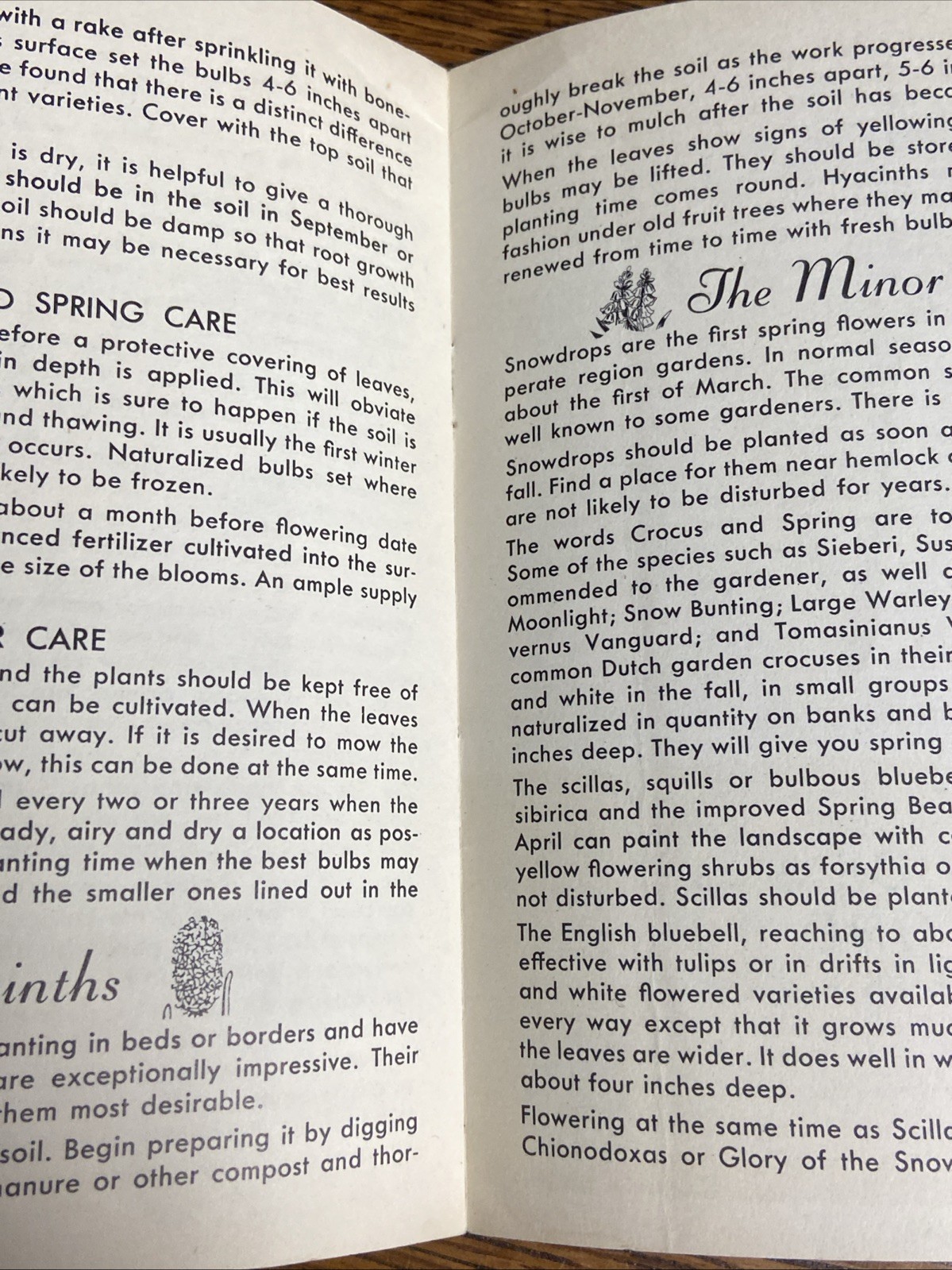 Bulb Planting Guide Associated Bulb Growers of Holland Hart & Vick Rochester NY