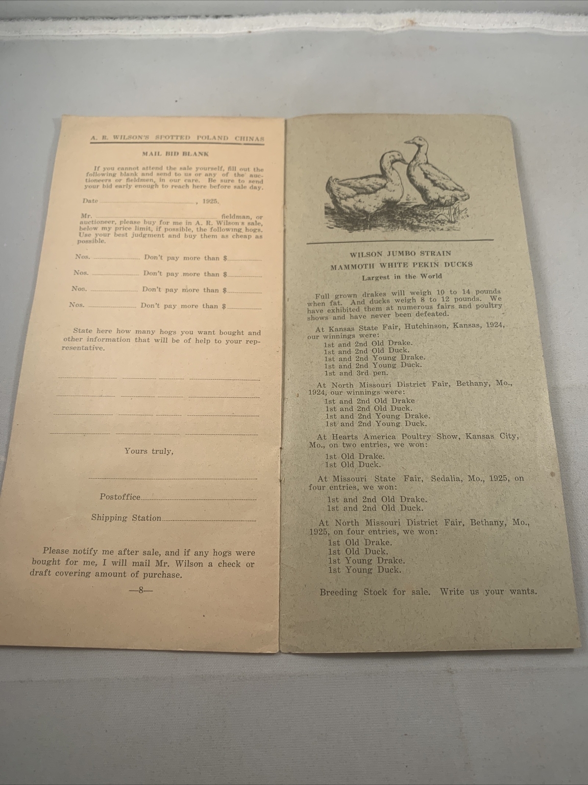 1925 Hog Sale Brochure Wilson’s Prolific Poland China Pig Farm Darlington MO