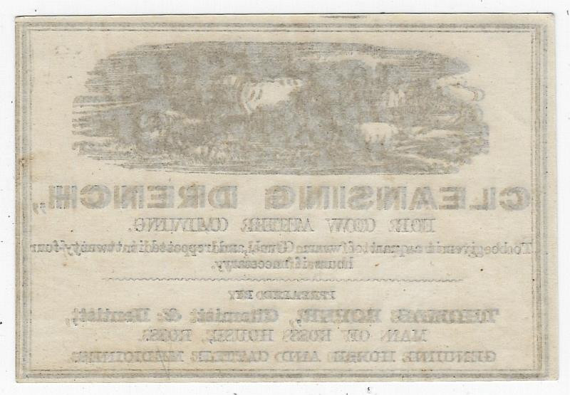Cleansing Drench Cow After Calving Label Thomas Roper Chemist Dentist Cattle