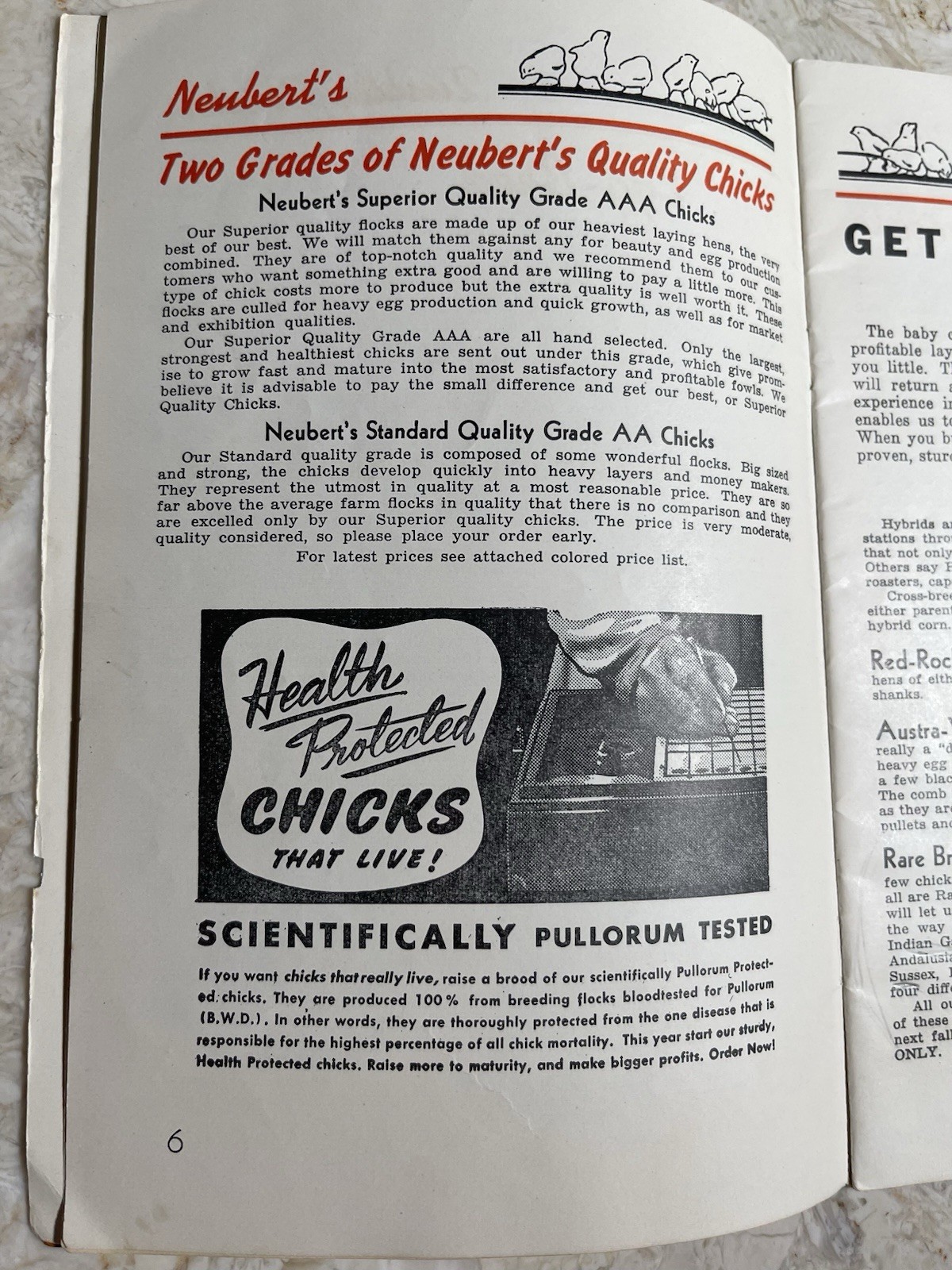Vintage 1945 Neubert&rsquo;s Neubert Poultry + Supply Catalog Mankato MN