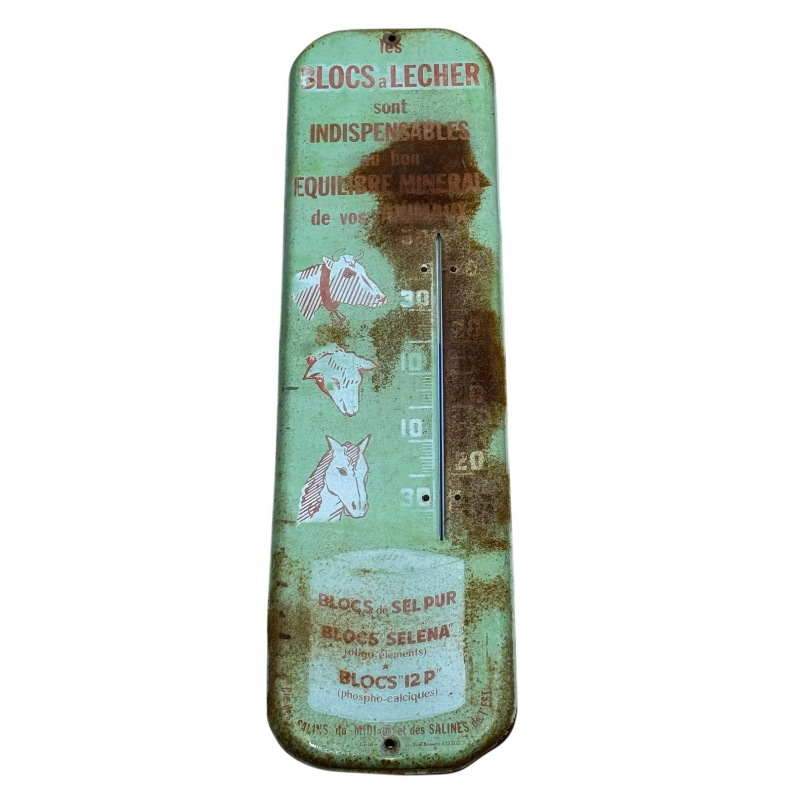 Vintage Salins Du Midi Blocs A Lecher French Thermometer Sign 7.25×27.25 Green