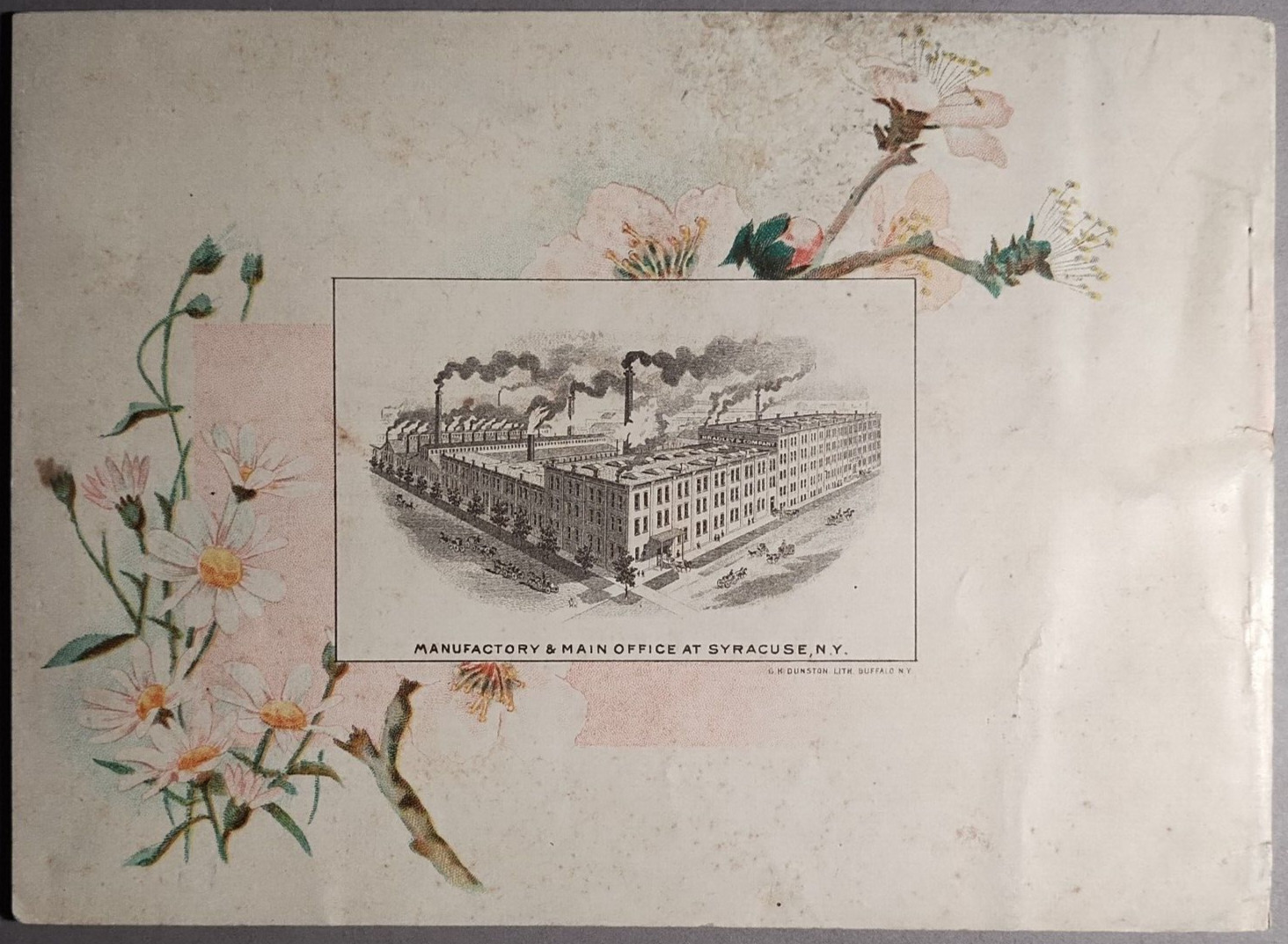 1890s Bradley & Co Syracuse Wagon Carriage Full Color Catalog Original B5-34
