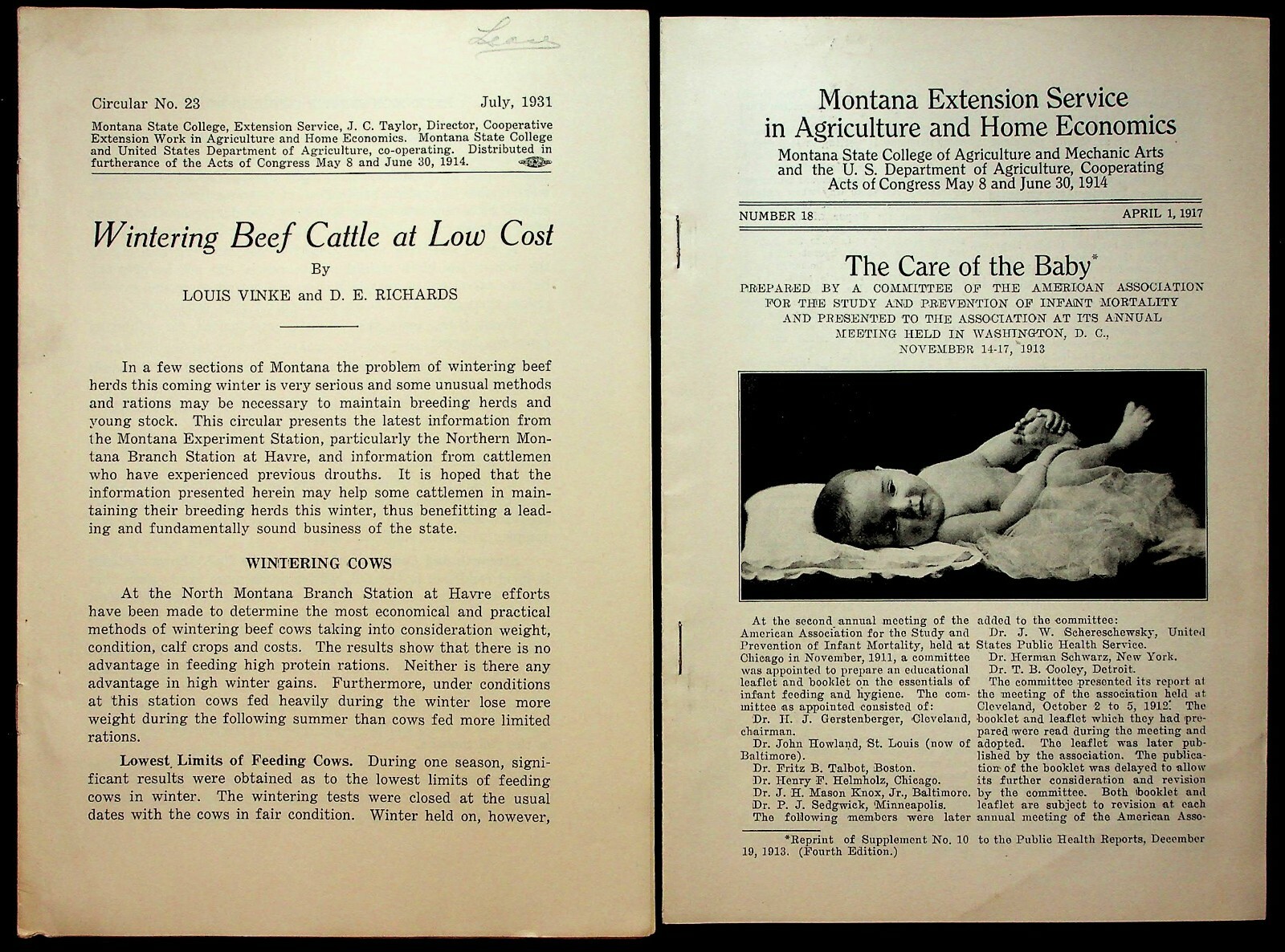 Vintage University Of Montana And State College Agricultural Bulletins USDA Beef