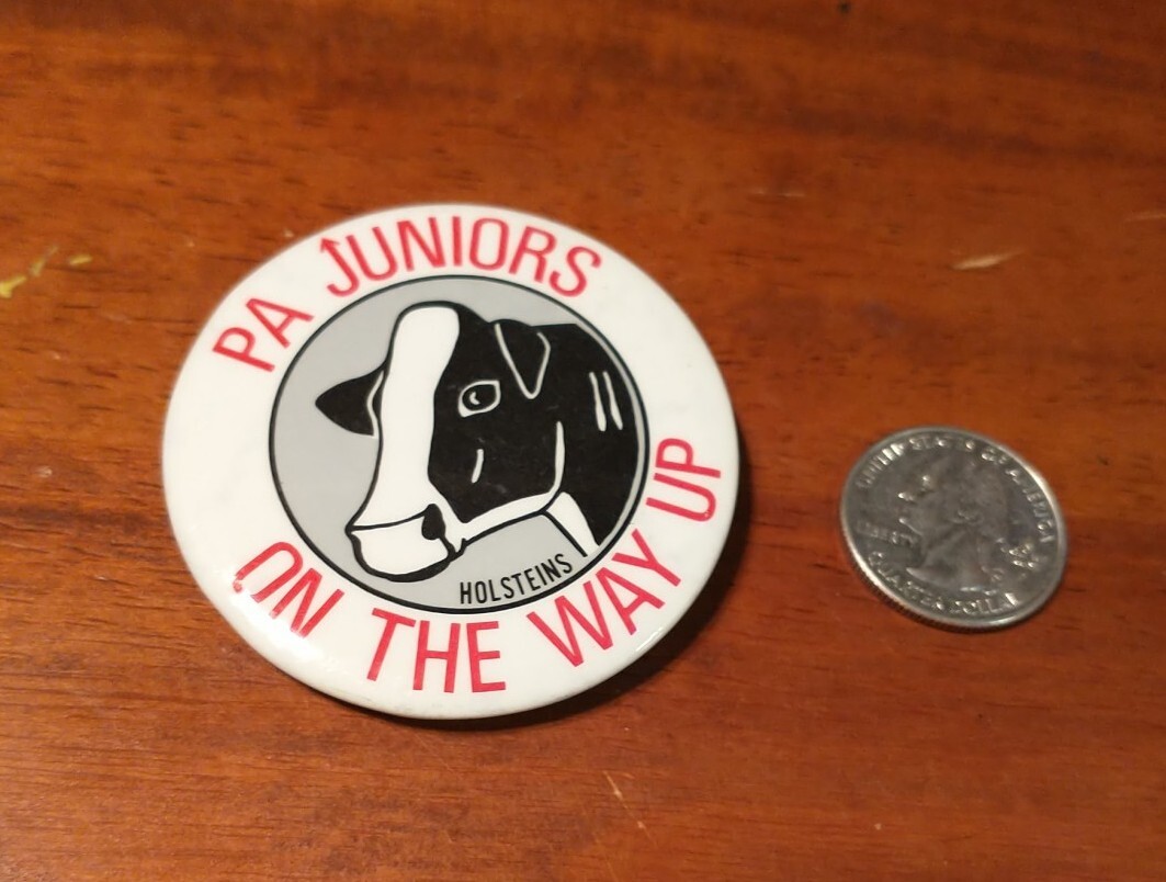 Vintage pinback button PA Juniors On The Way Up Holsteins pin black white red