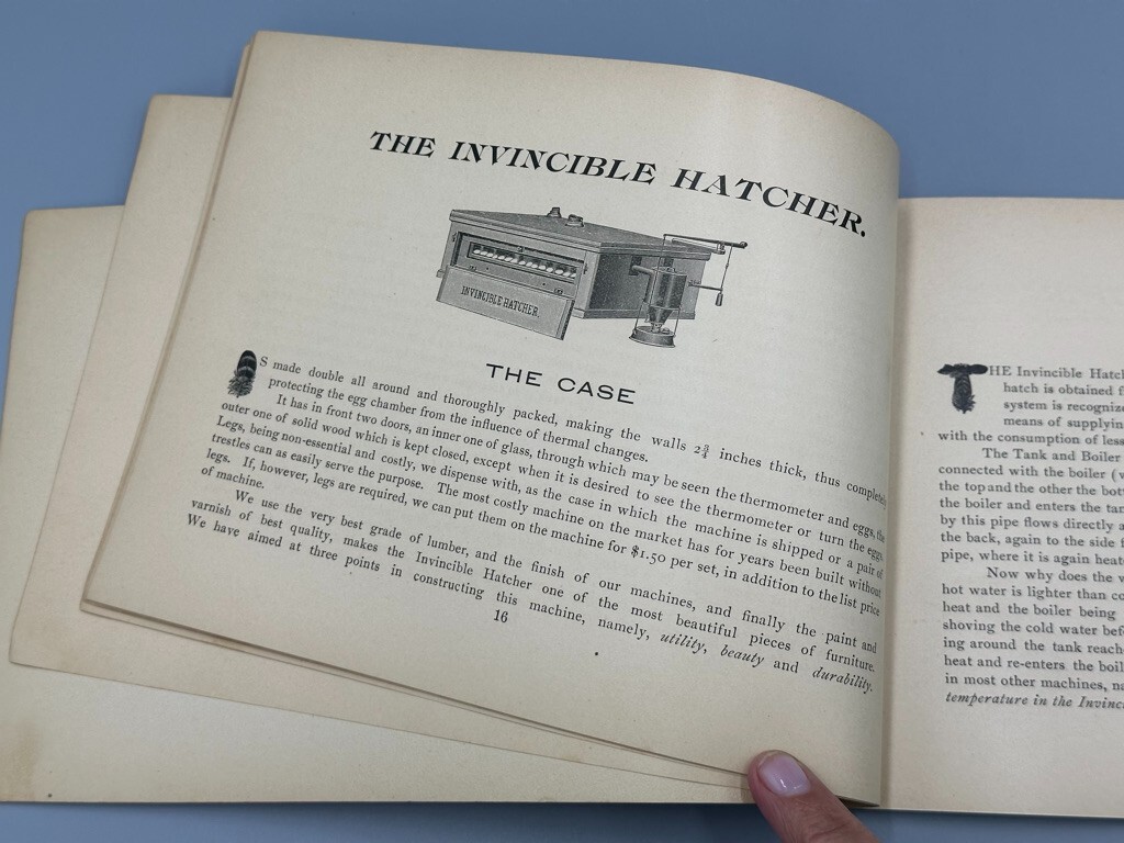 Rare 1893 BUCKEYE INCUBATOR CO Chicken CHICKS Farm Advertise BOOK Springfield OH