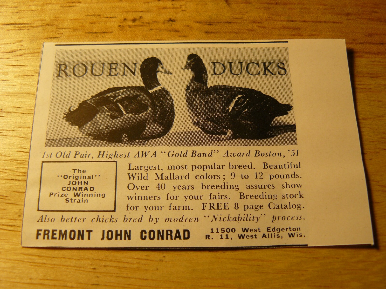 Where? The Farm Quarterly -ADS-AUTUMN 1953 – ROUEN DUCKS/FREMONT JOHN CONRAD
