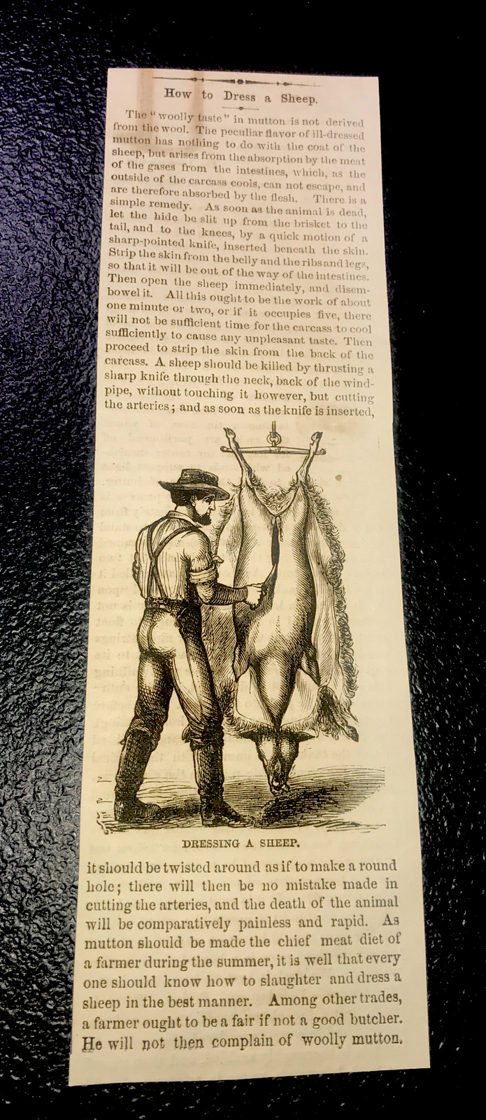 ORIGINAL 1872 Dressing A Sheep Farm Engraving Advertising & Article