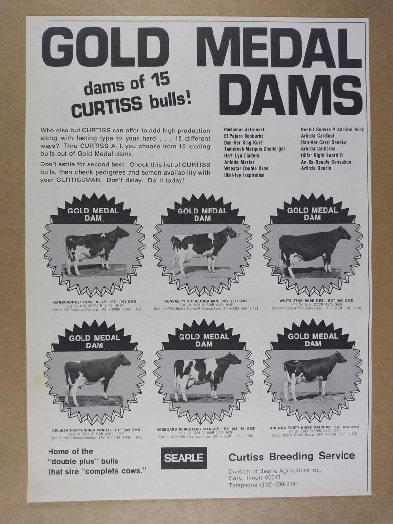 1975 Curtiss Breeding Gold Medal Dams vintage print Ad