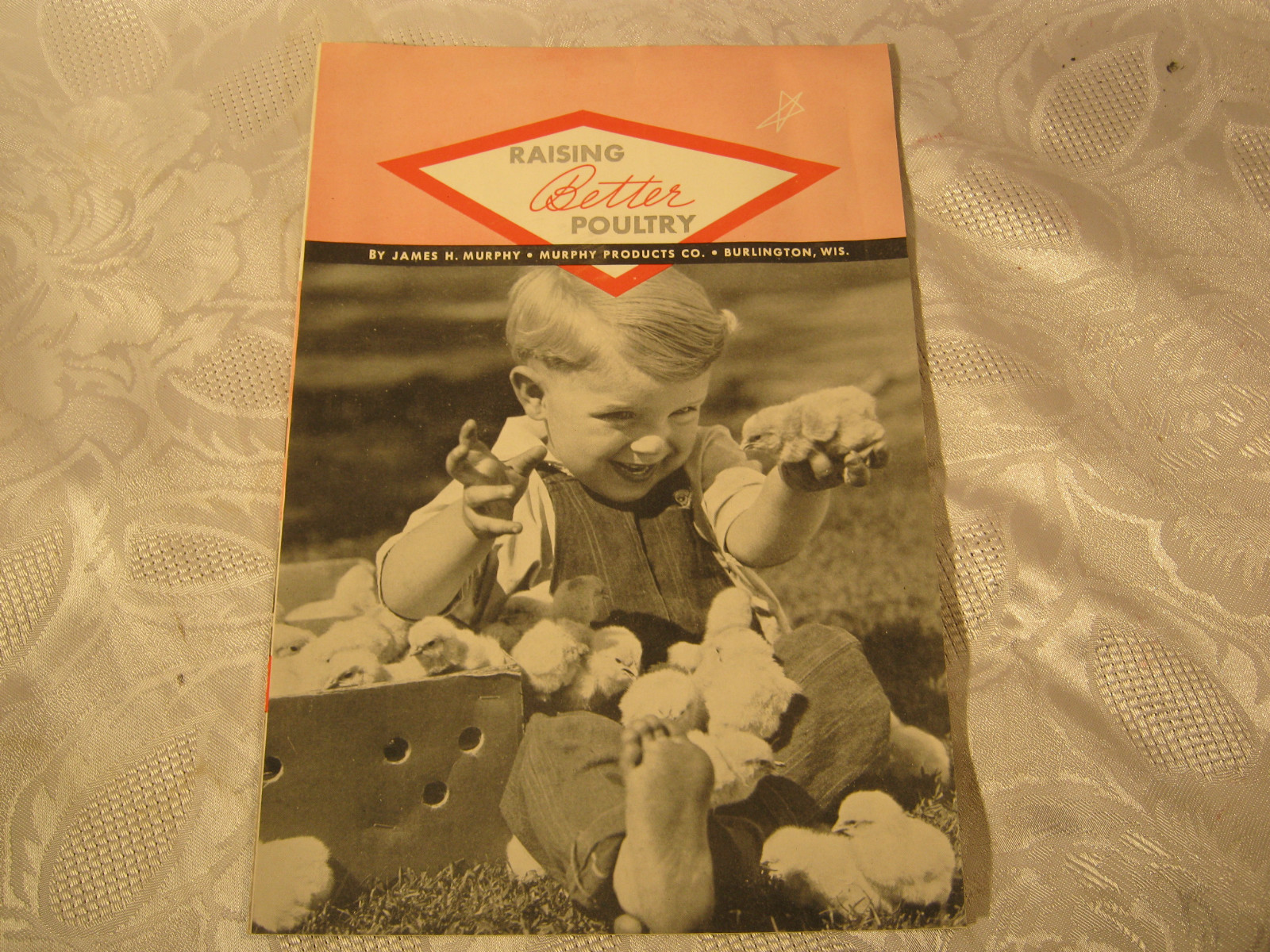 VIG O RAY MURPHY PRODUCTS POULTRY AGRICULTURE FARMING ADV PAMPHLET 11 pages