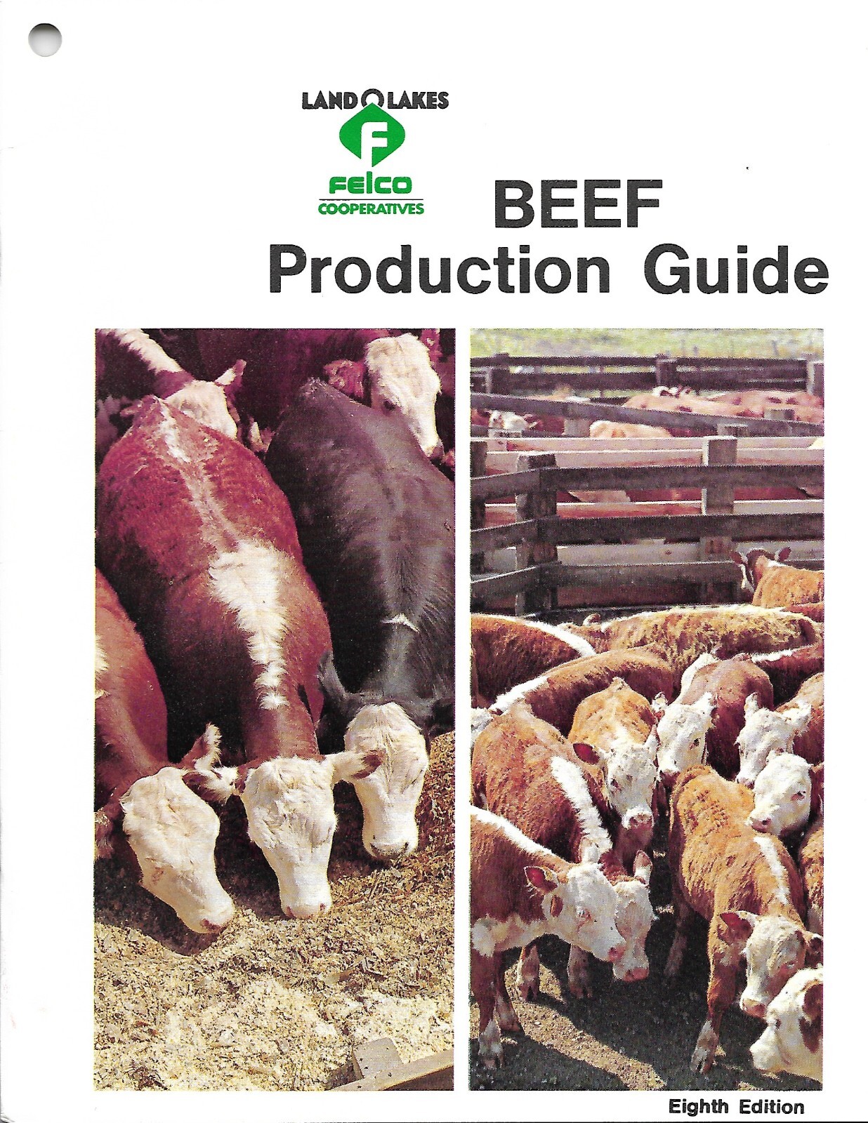 Farm Education Brochure Land O&rsquo;Lakes Felco Beef Cattle Production Guide (F8440)