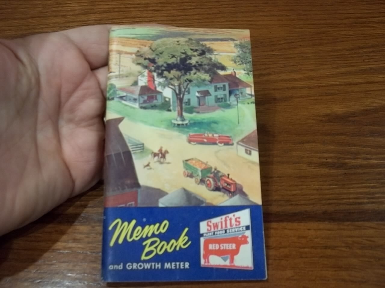 1955 Swift&rsquo;s Red Steer Memo Book & Growth Meter Agriculture Farm Animals