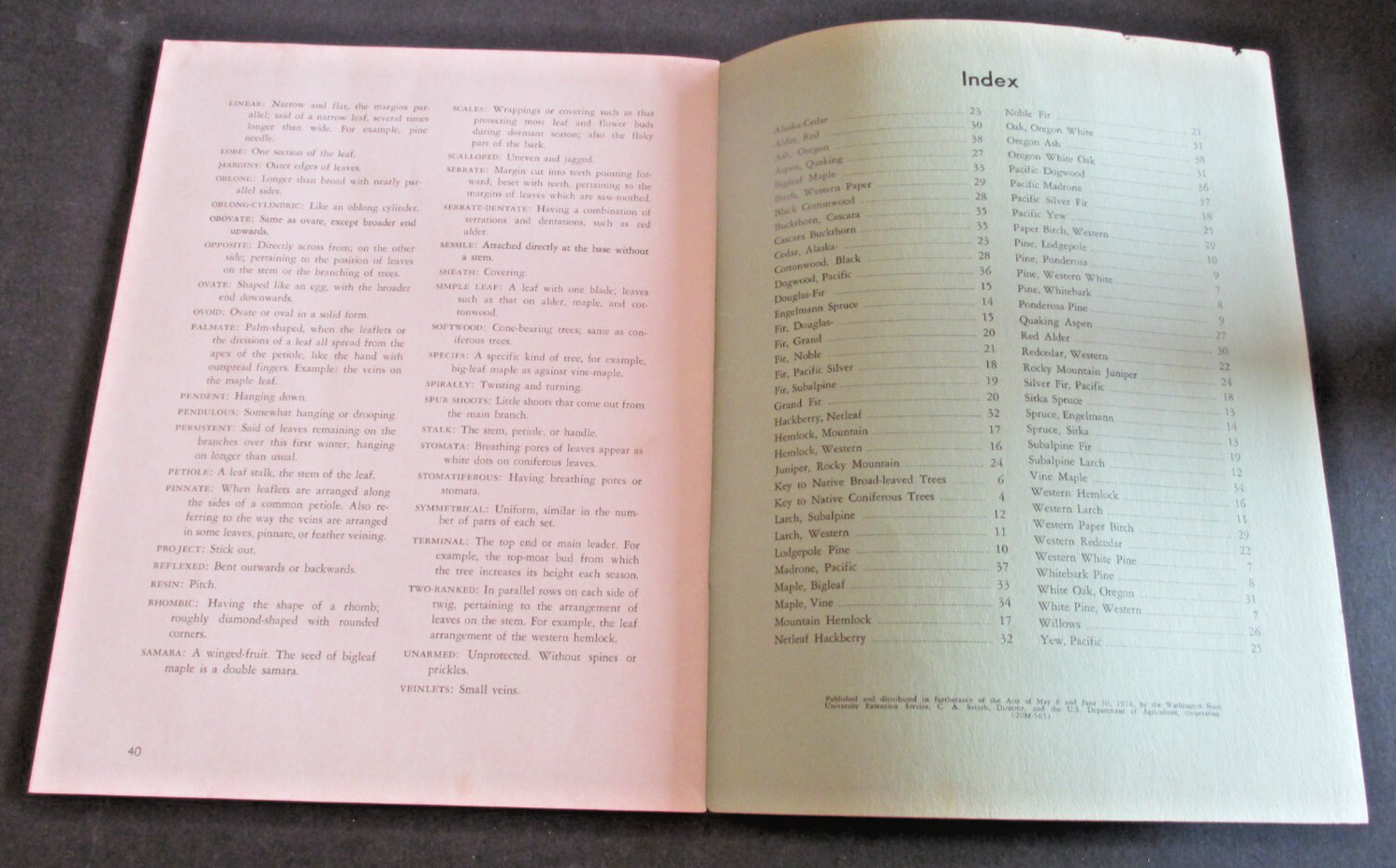 VTG 1963 Reprint of 1914 Bulletin Trees of Washington State King County 4H Club