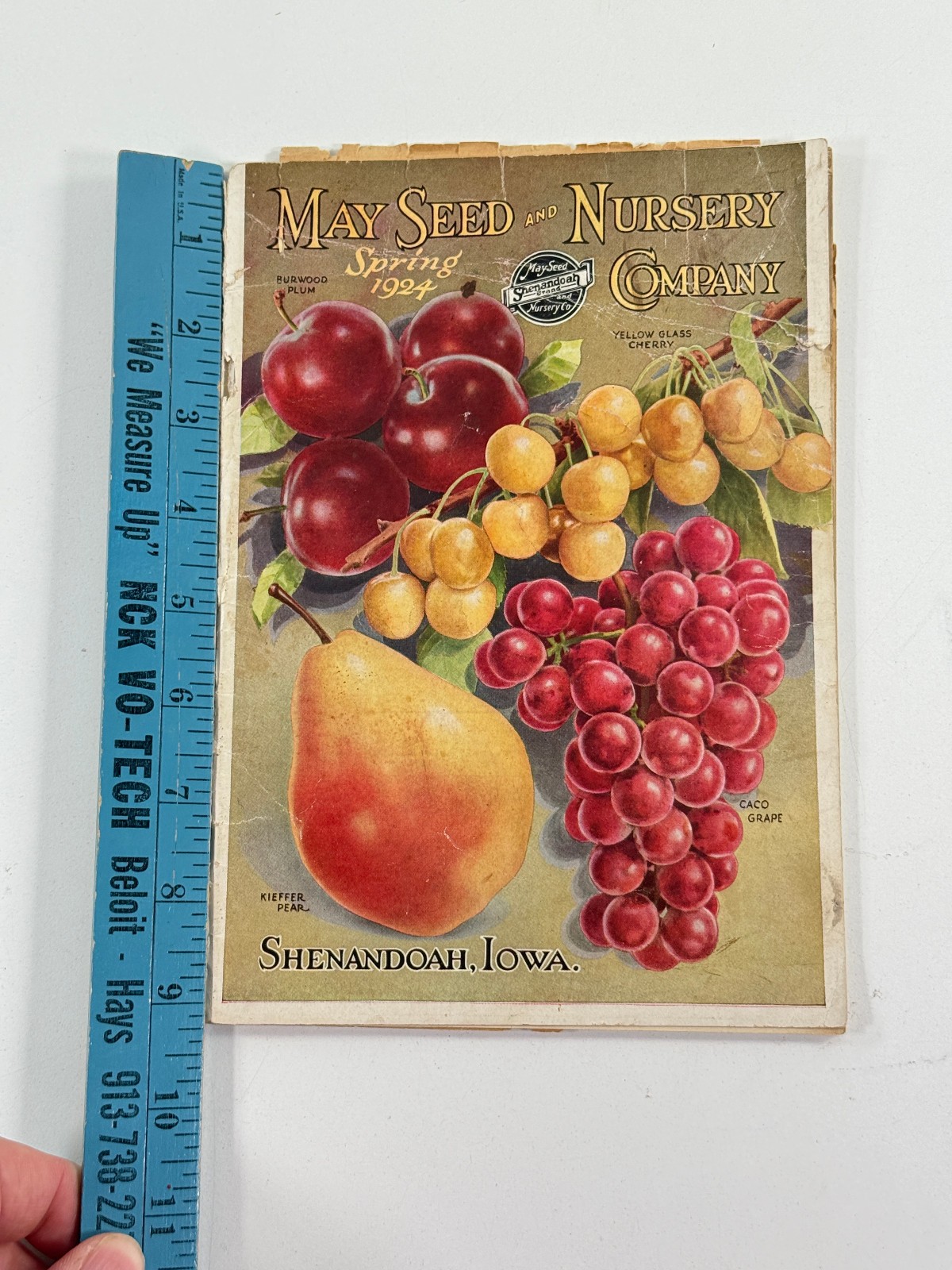 1924 May Seed Advertising Catalog Shenandoah Iowa IA