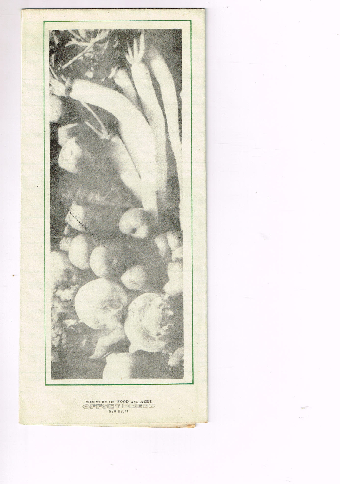 Vintage 1960s Farm Brochure New Delhi India What to Do For Vegetable Pests